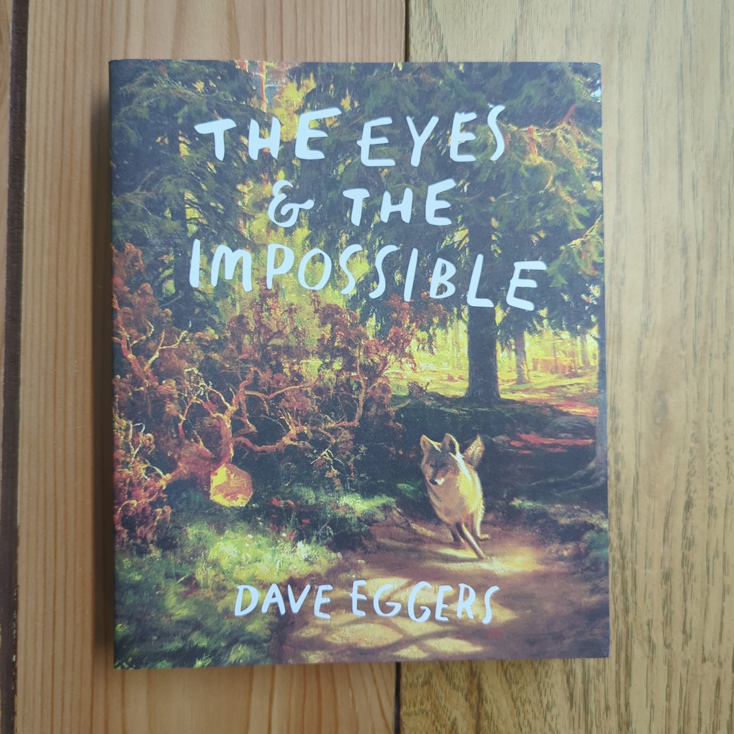 The Eyes & The Impossible