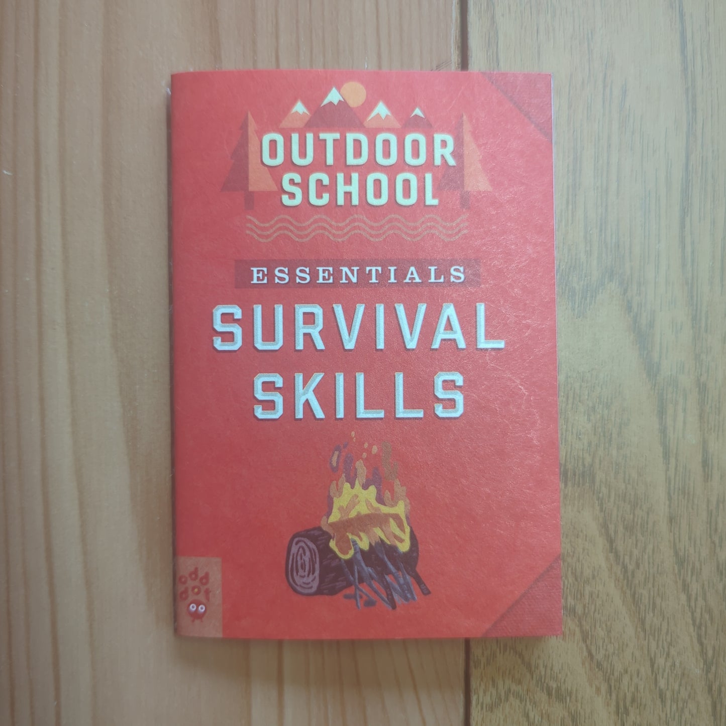 Outdoor School Essentials: Survival Skills