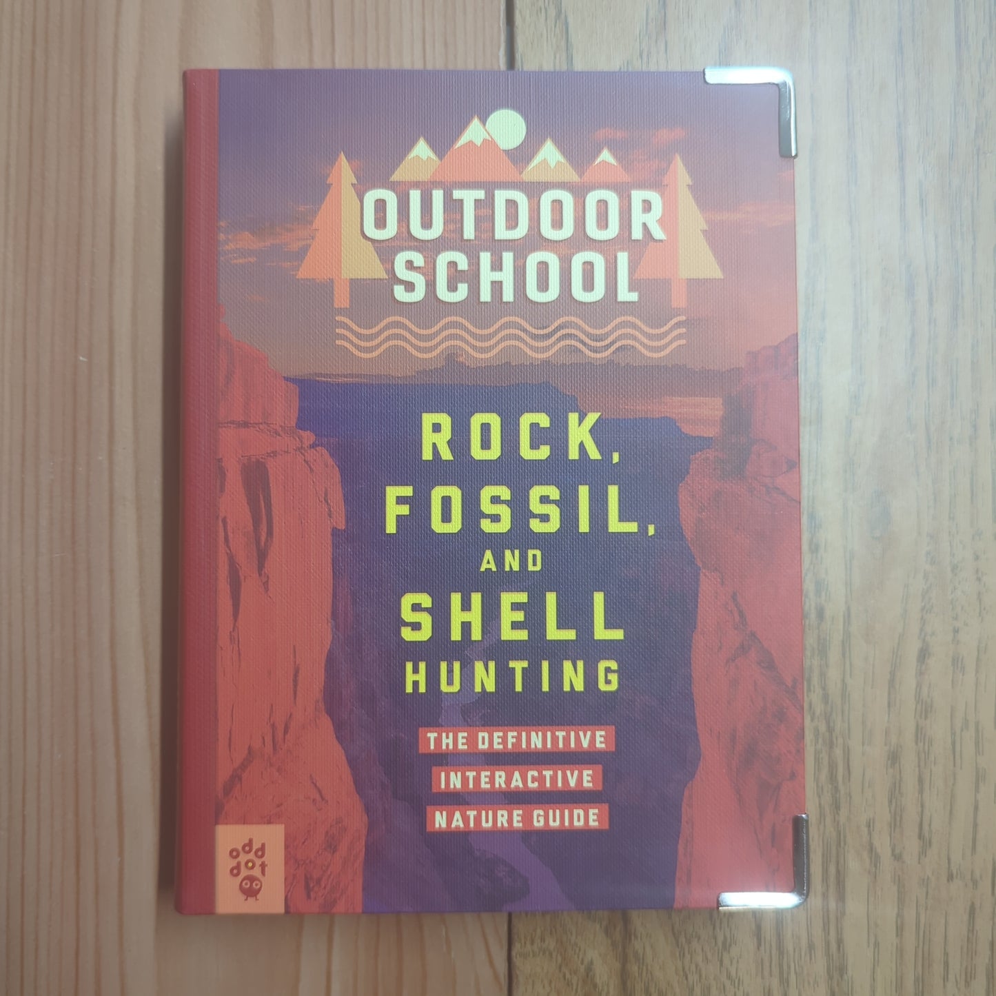 Outdoor School: Rock, Fossil, and Shell Hunting