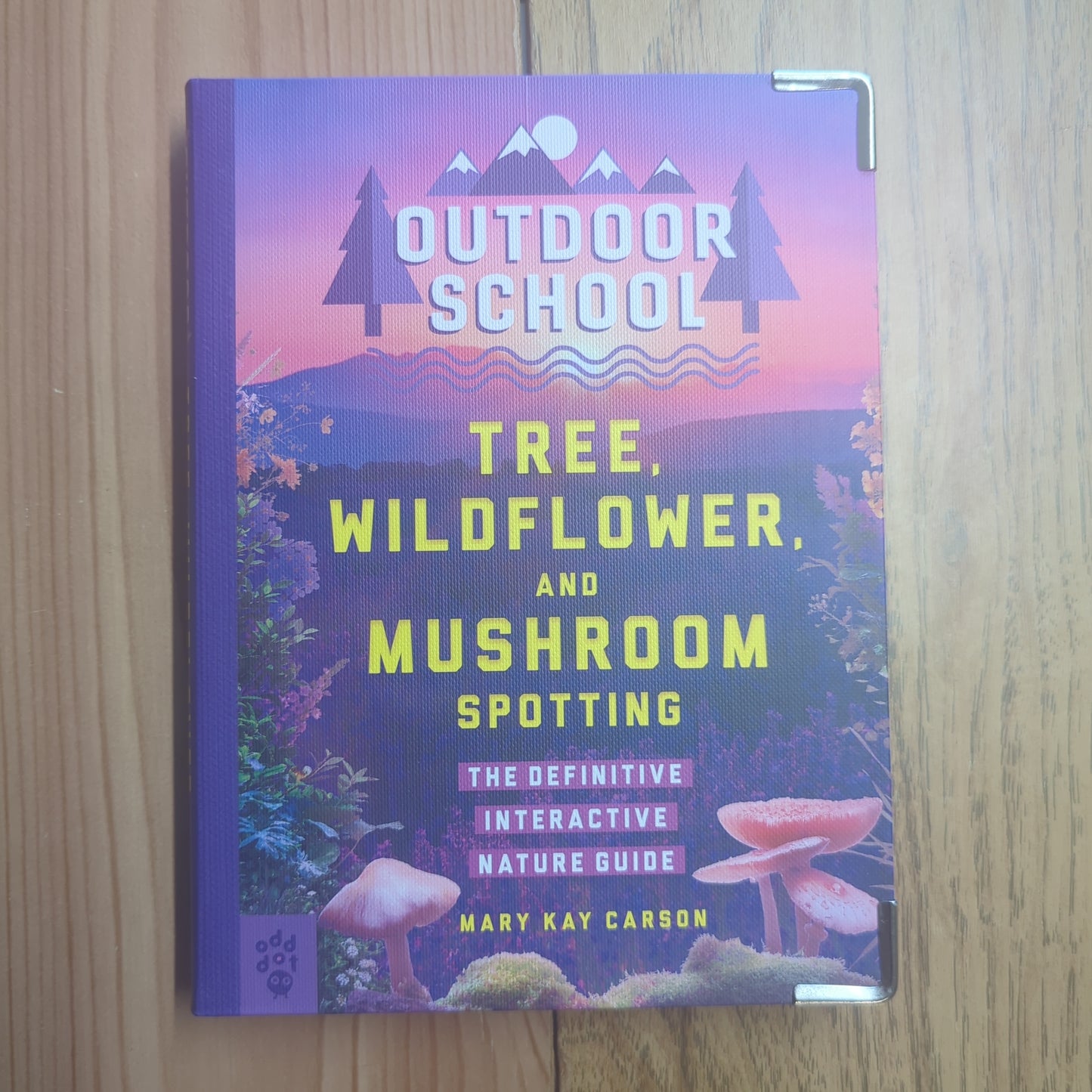 Outdoor School: Tree, Wildflower, and Mushroom Spotting