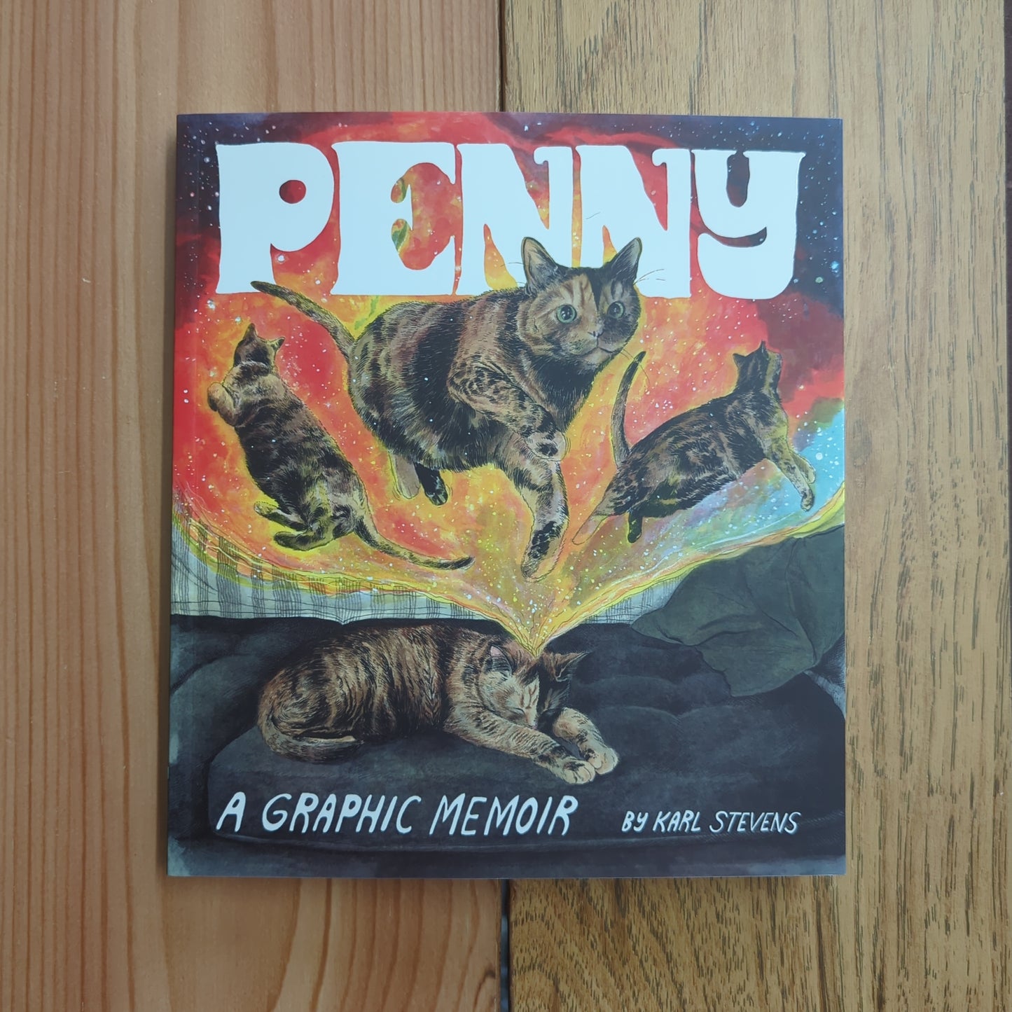 Penny: A Graphic Memoir