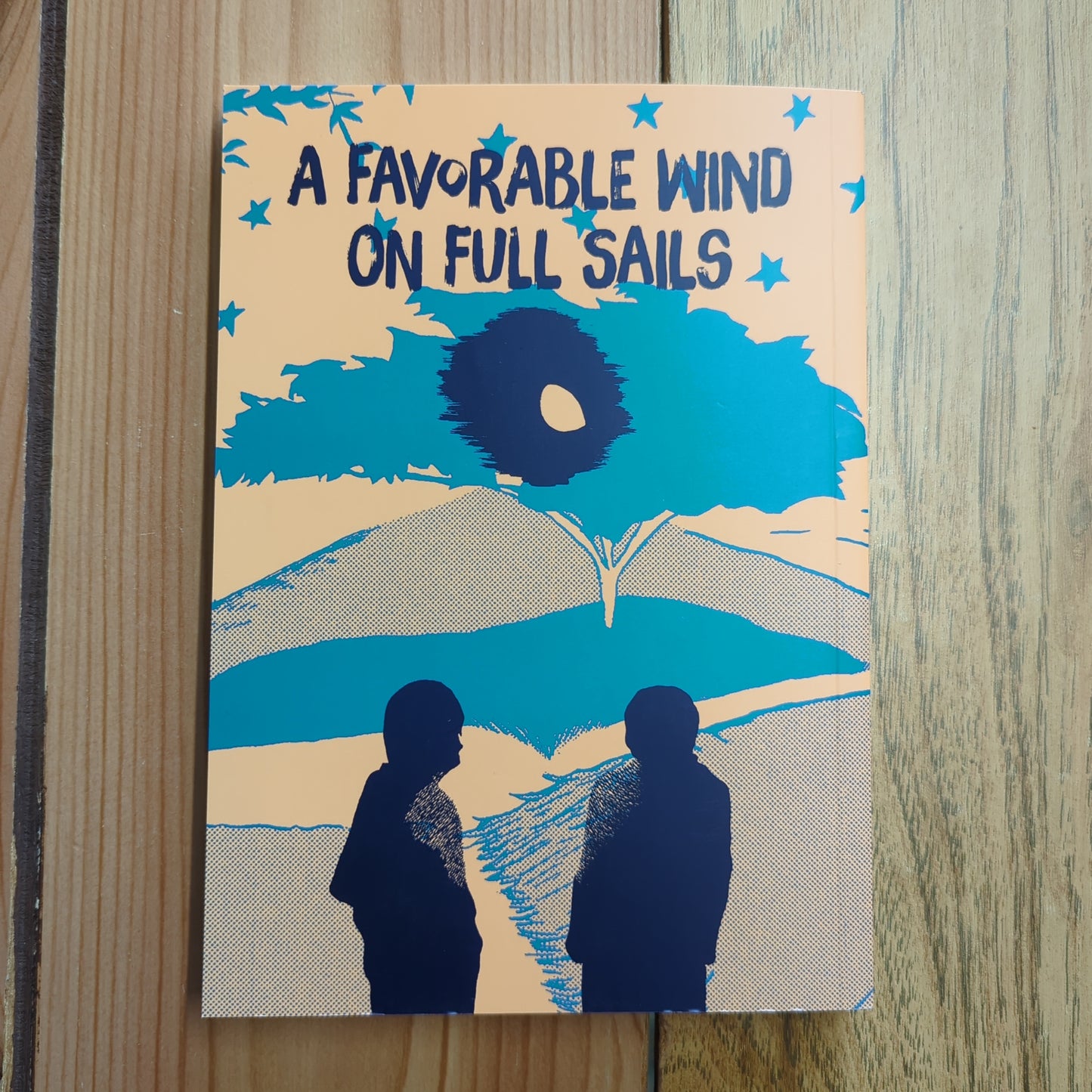 A Favorable Wind on Full Sails