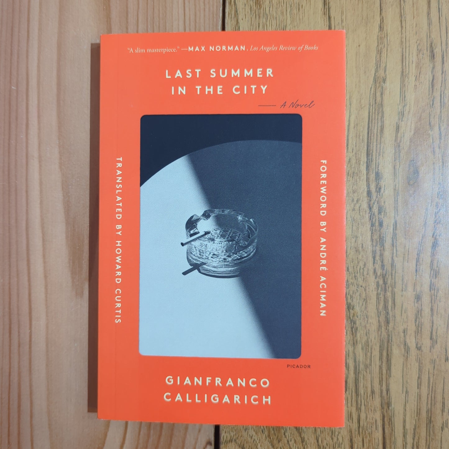 Last Summer in the City