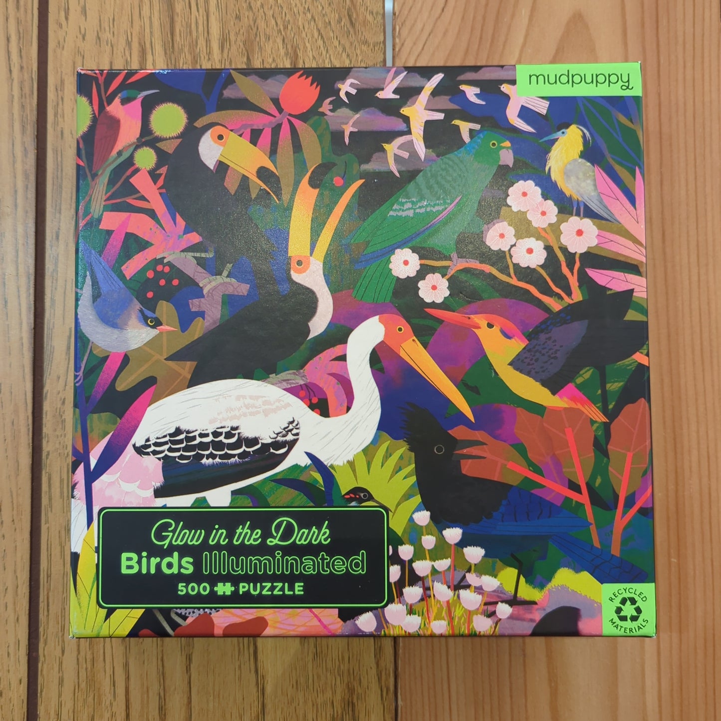 Glow in the Dark Birds Illuminated