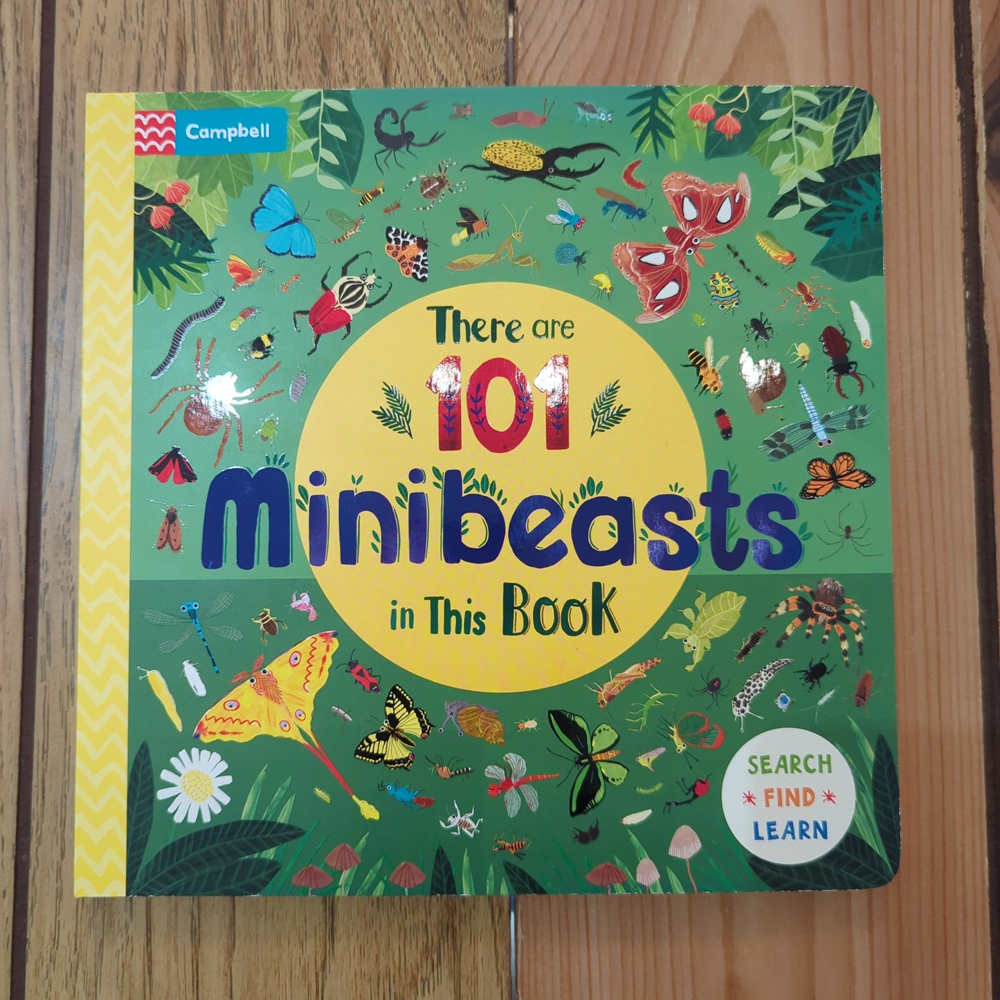 There are 101 Minibeasts in This Book