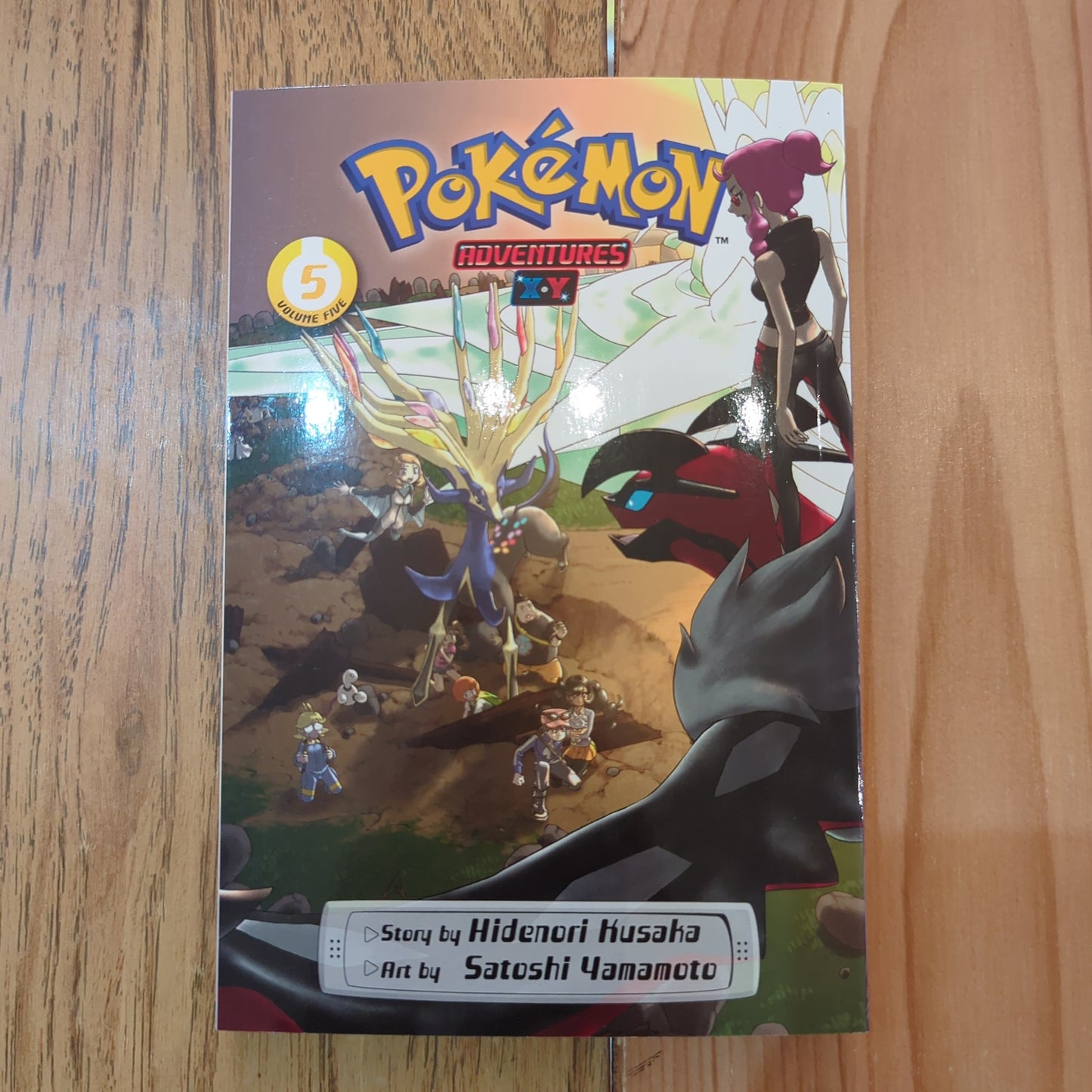 Pokemon Adventures X&Y Vol 5