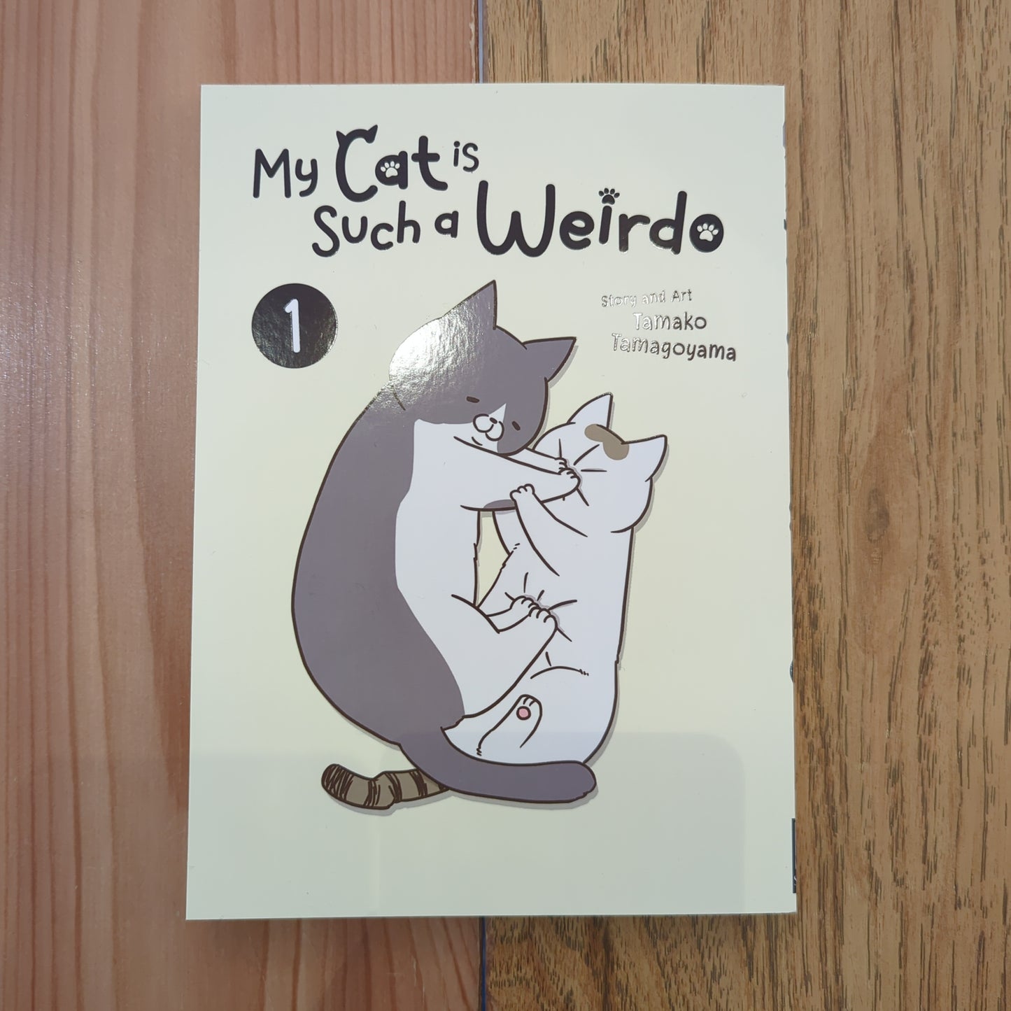 My Cat is Such a Weirdo Vol 1