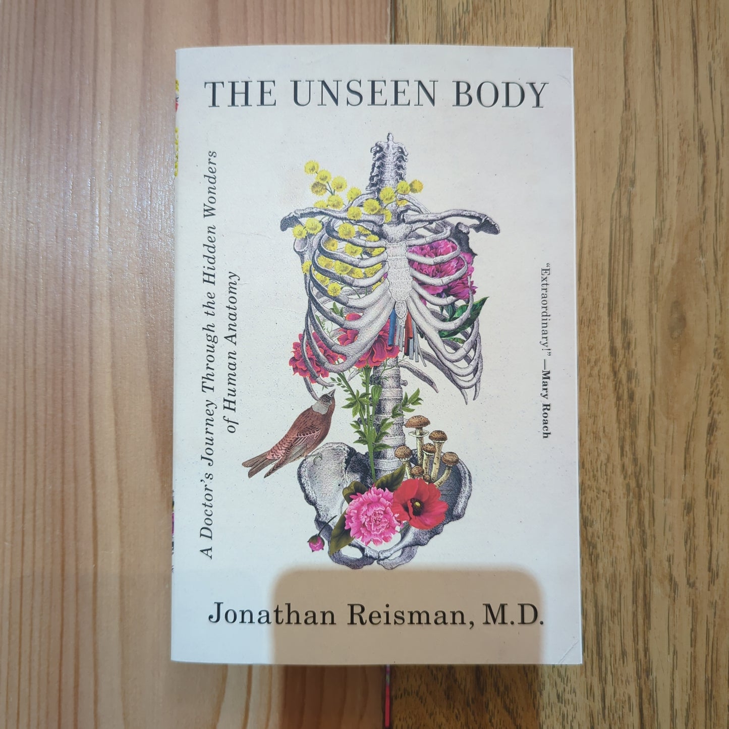 The Unseen Body