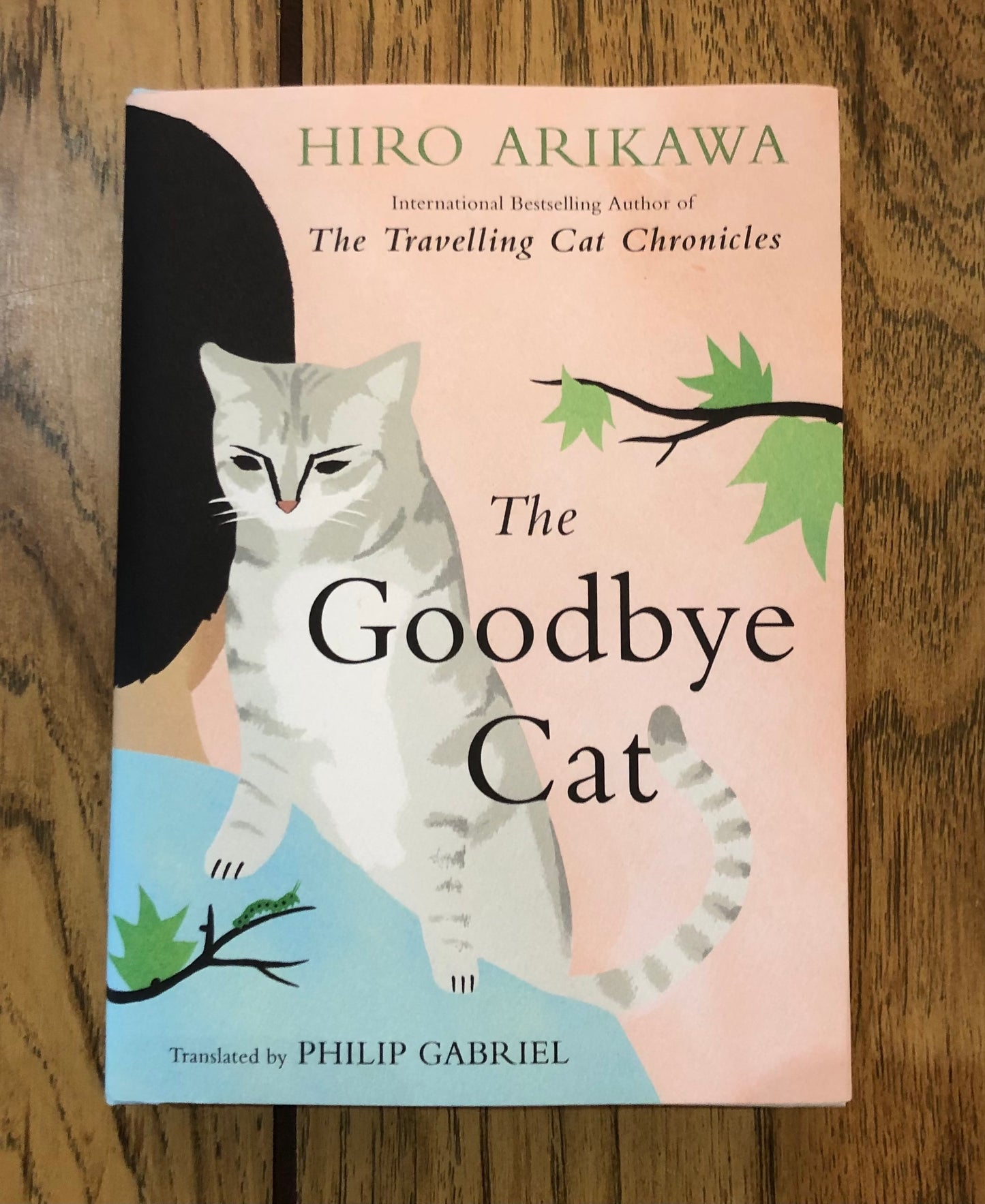 The Goodbye Cat