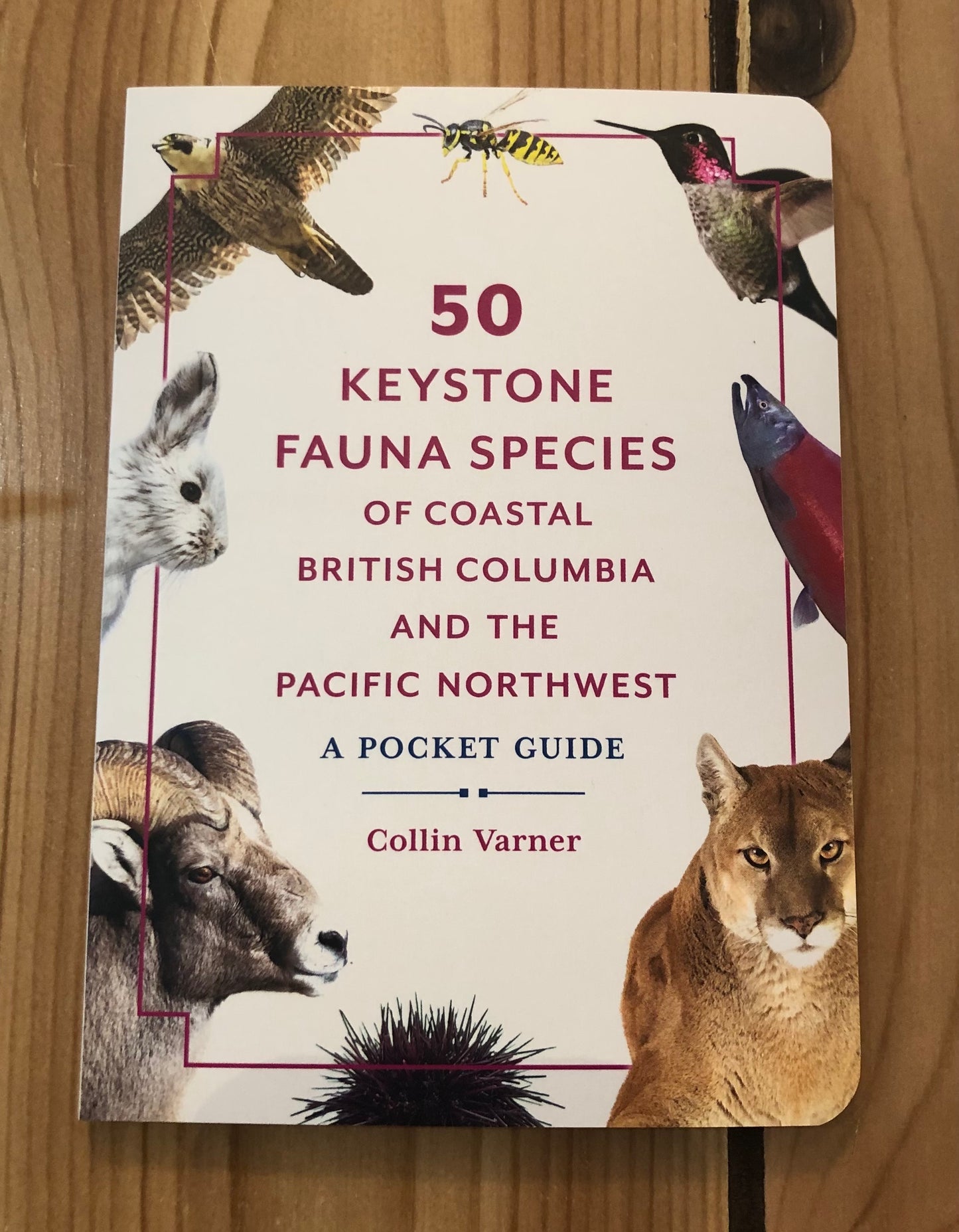 50 Keystone Fauna Species of Coastal British Columbia and the Pacific Northwest: a Pocket Guide