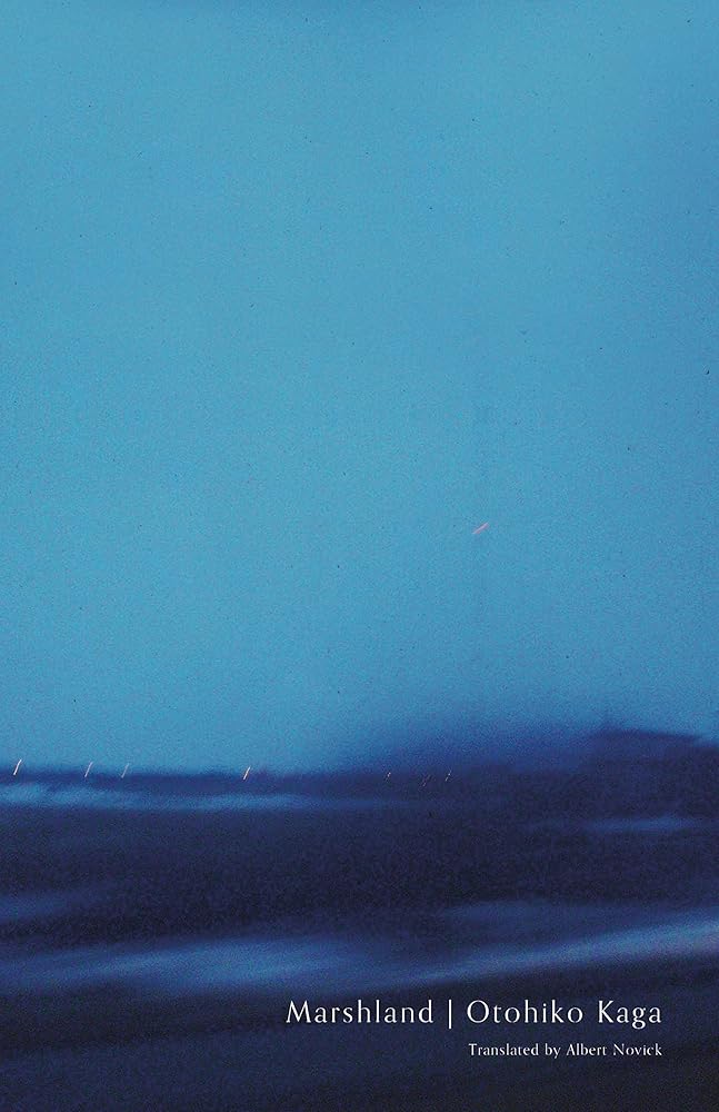 Marshland (Japanese Literature Series) cover image