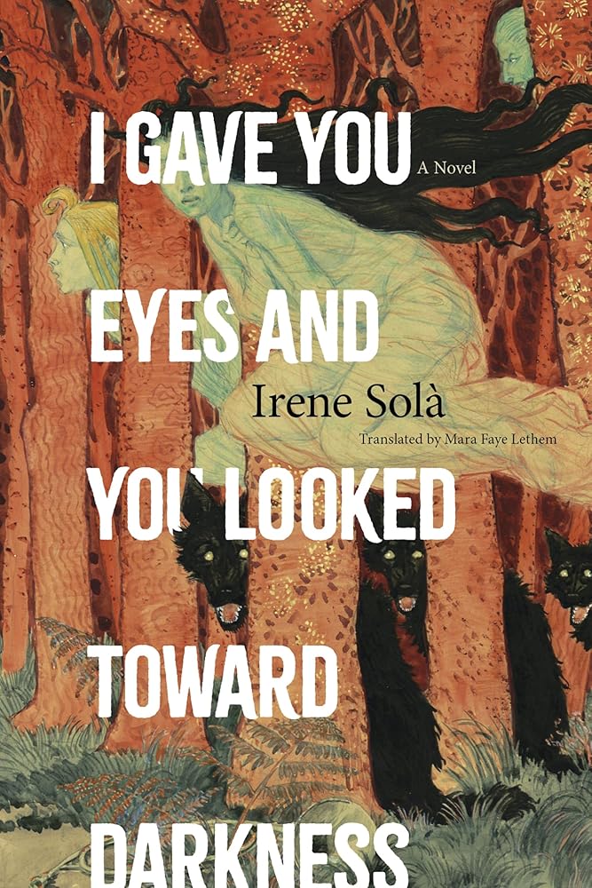 I Gave You Eyes and You Looked Toward Darkness: A Novel cover image