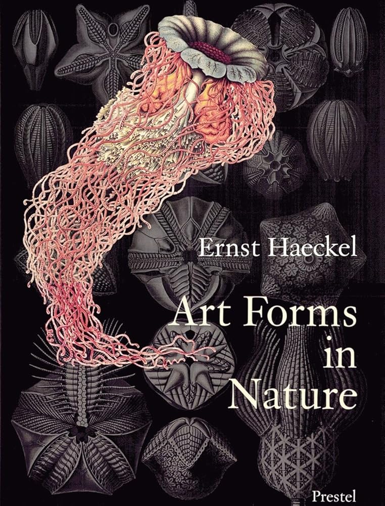 Art Forms in Nature: The Prints of Ernst Haeckel cover image