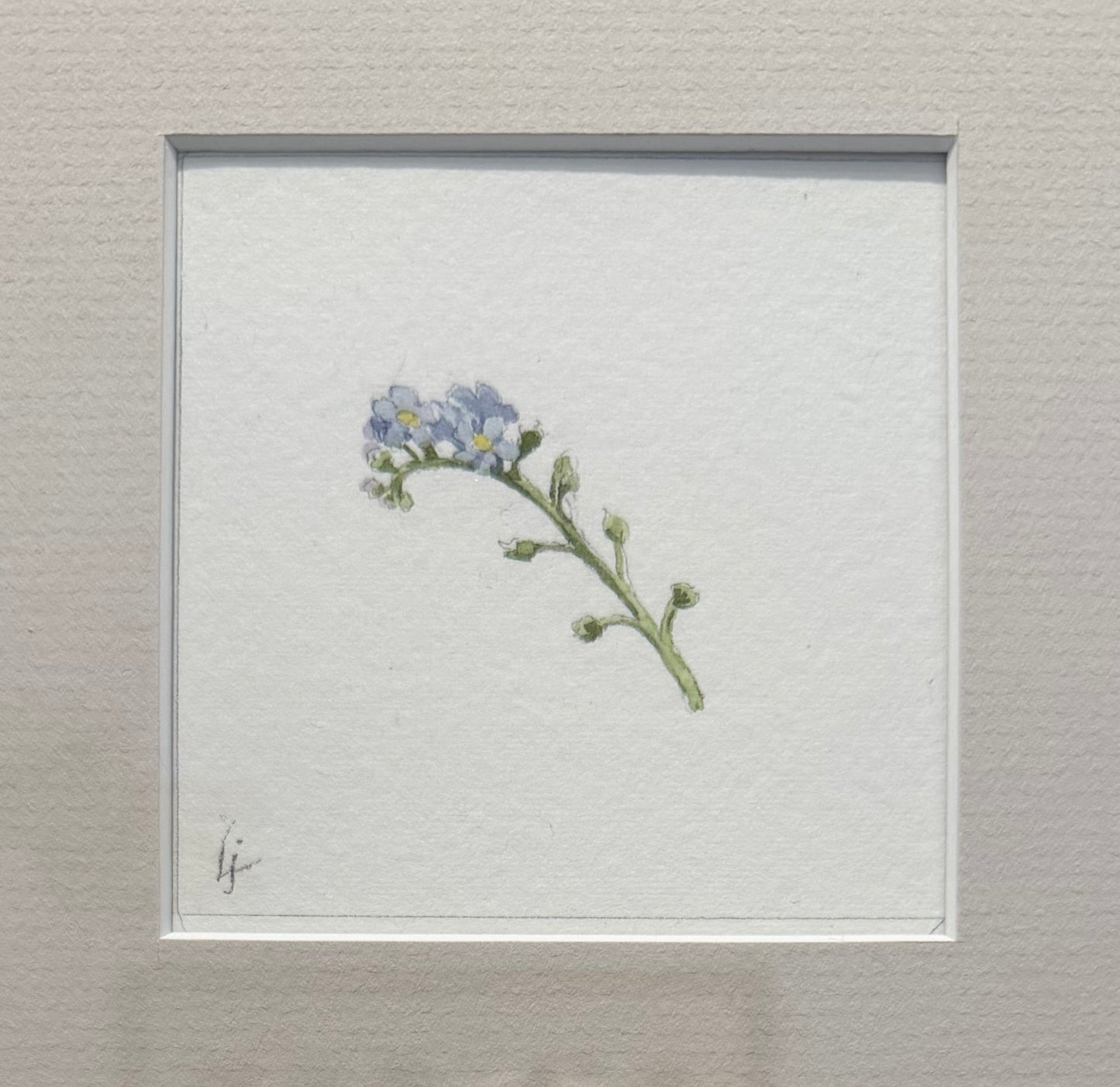 Forget Me Not 5.C.5