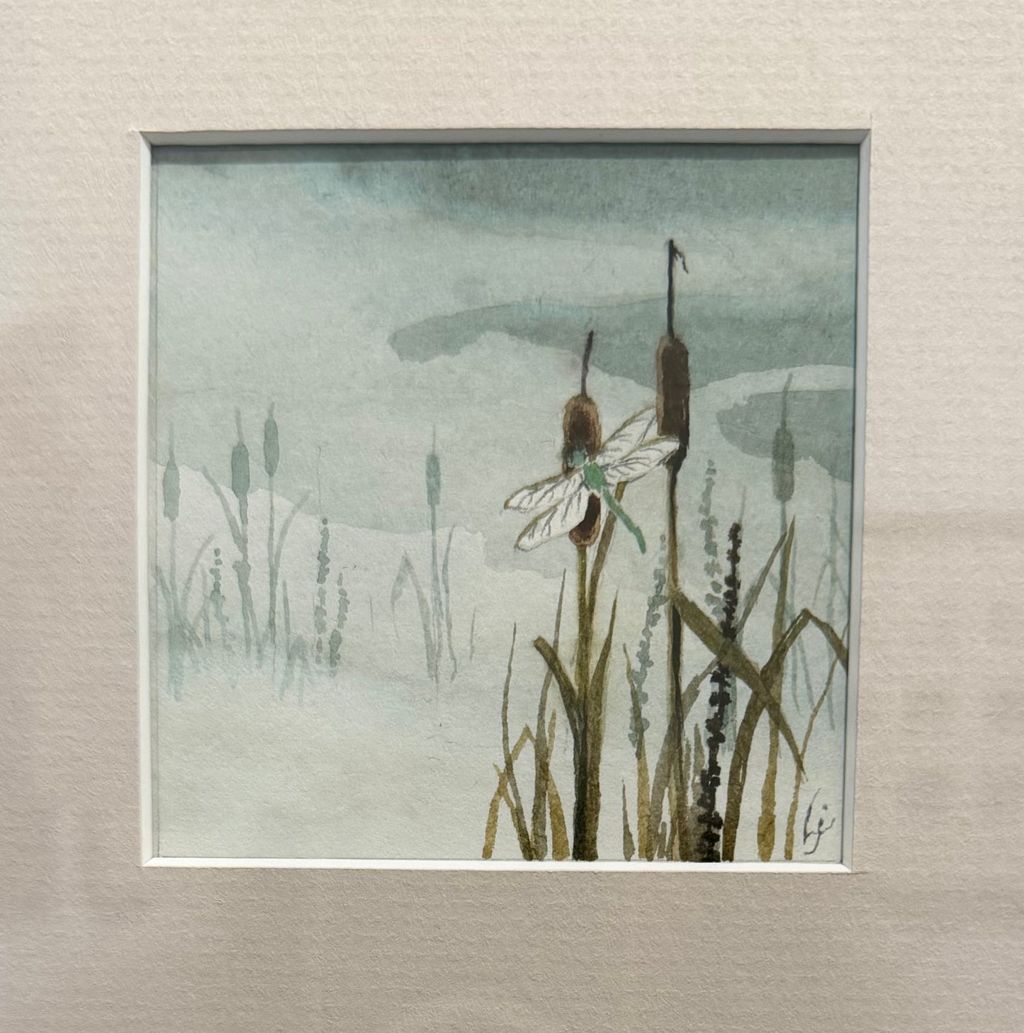 Forget Me Not 2.C.1