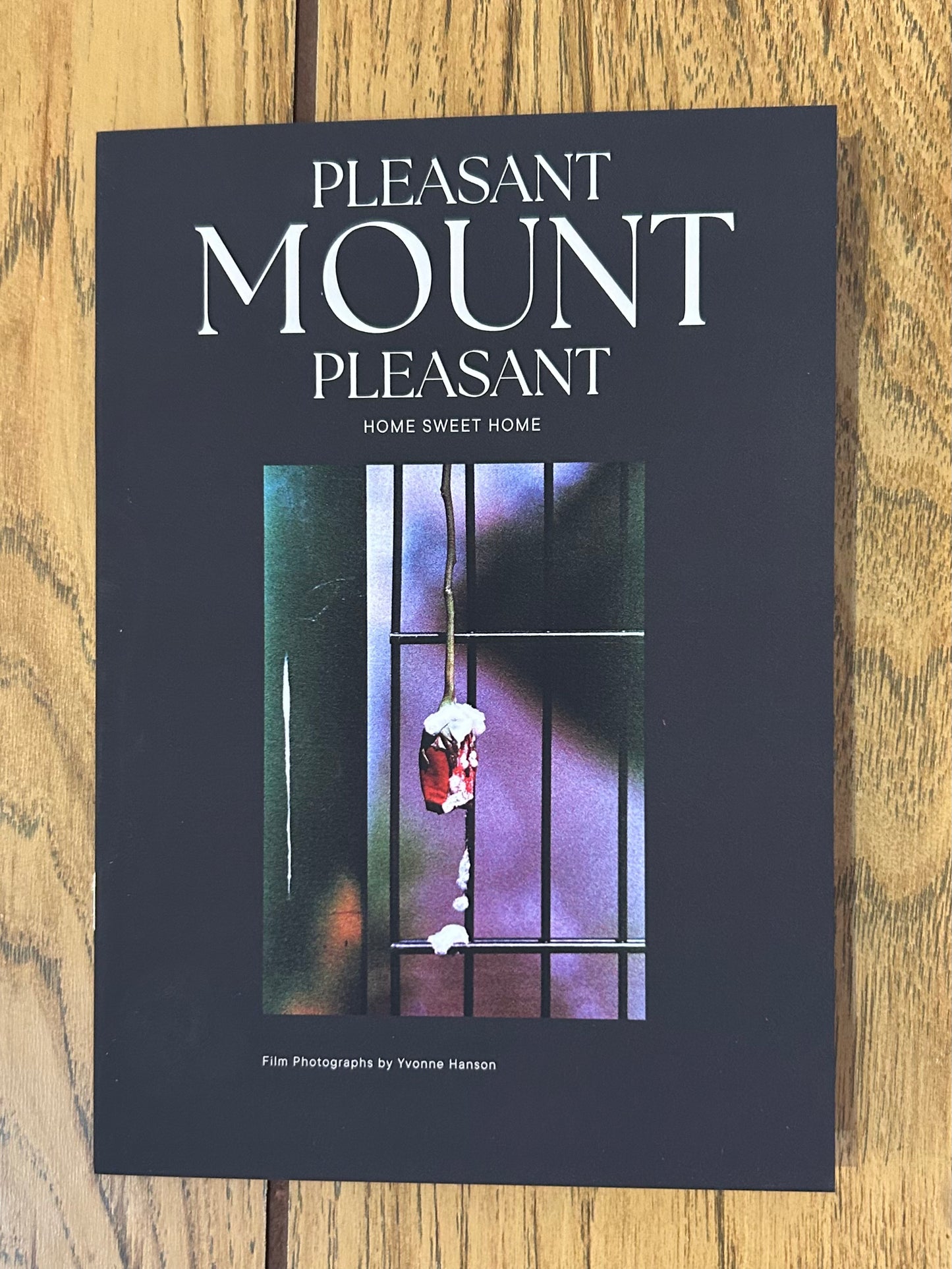 Pleasant Mount Pleasant