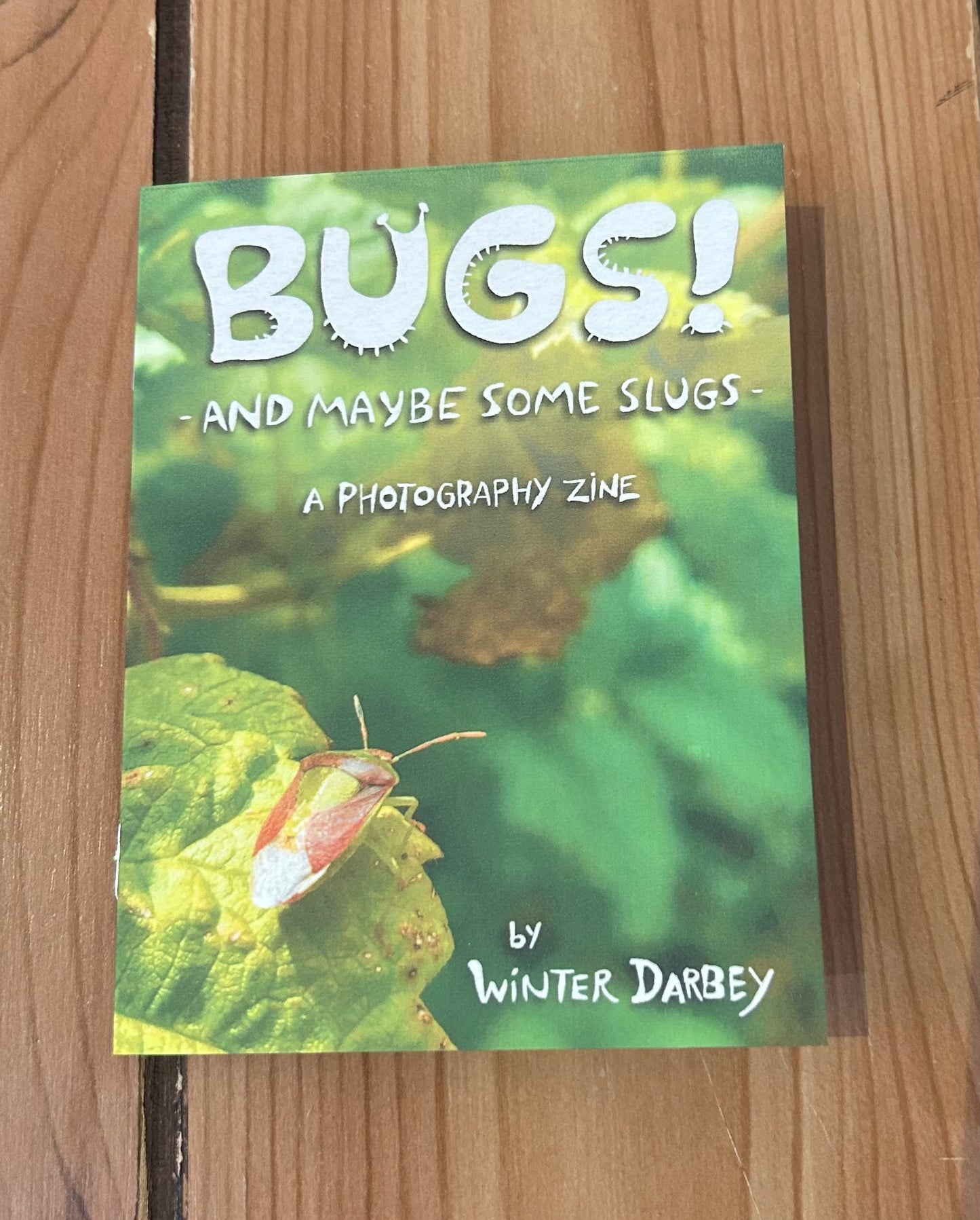 Bugs! And Maybe Some Slugs