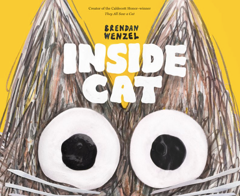 Inside Cat