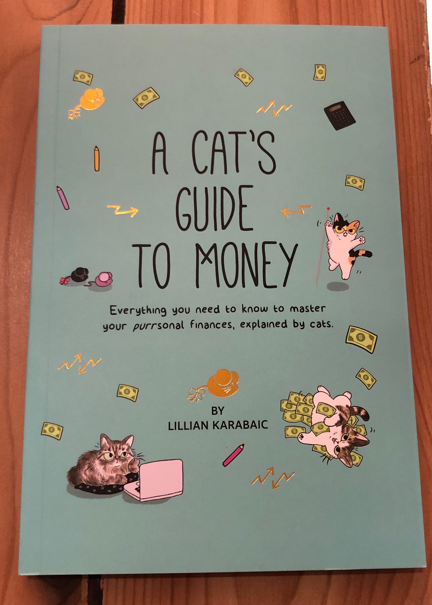 A Cat's Guide to Money
