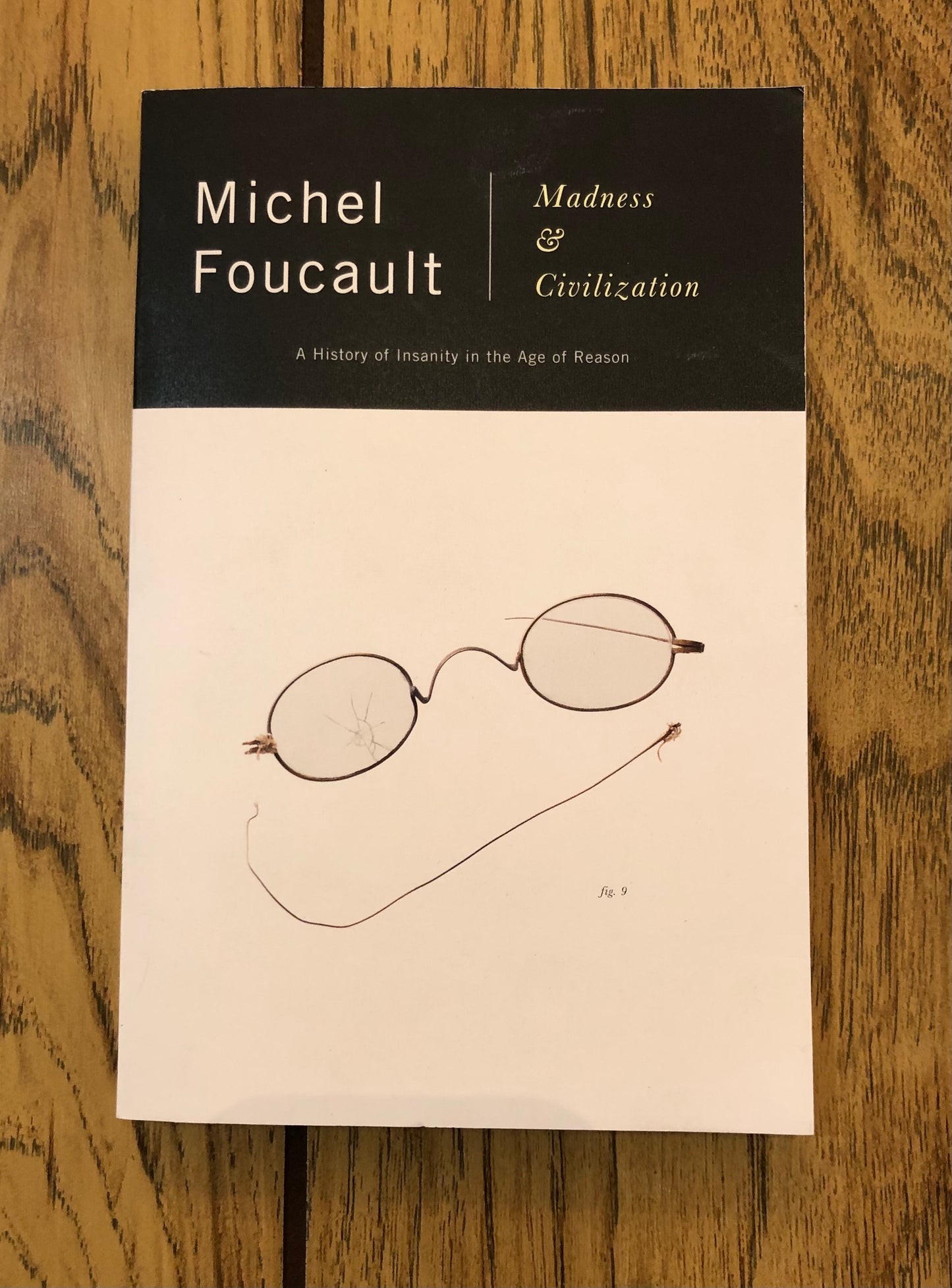 Madness & Civilization: a History of Insanity in the Age of Reason