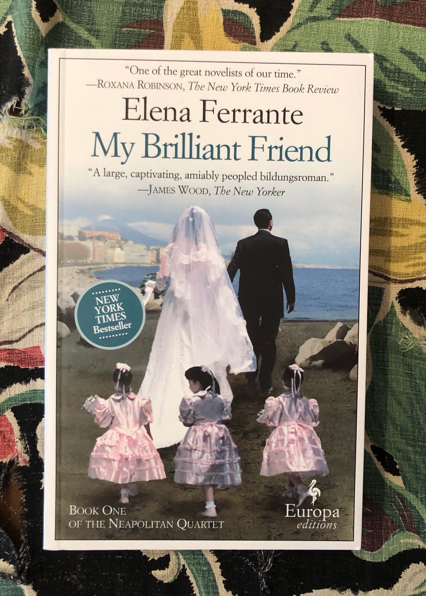My Brilliant Friend (Neapolitan Novels #1)