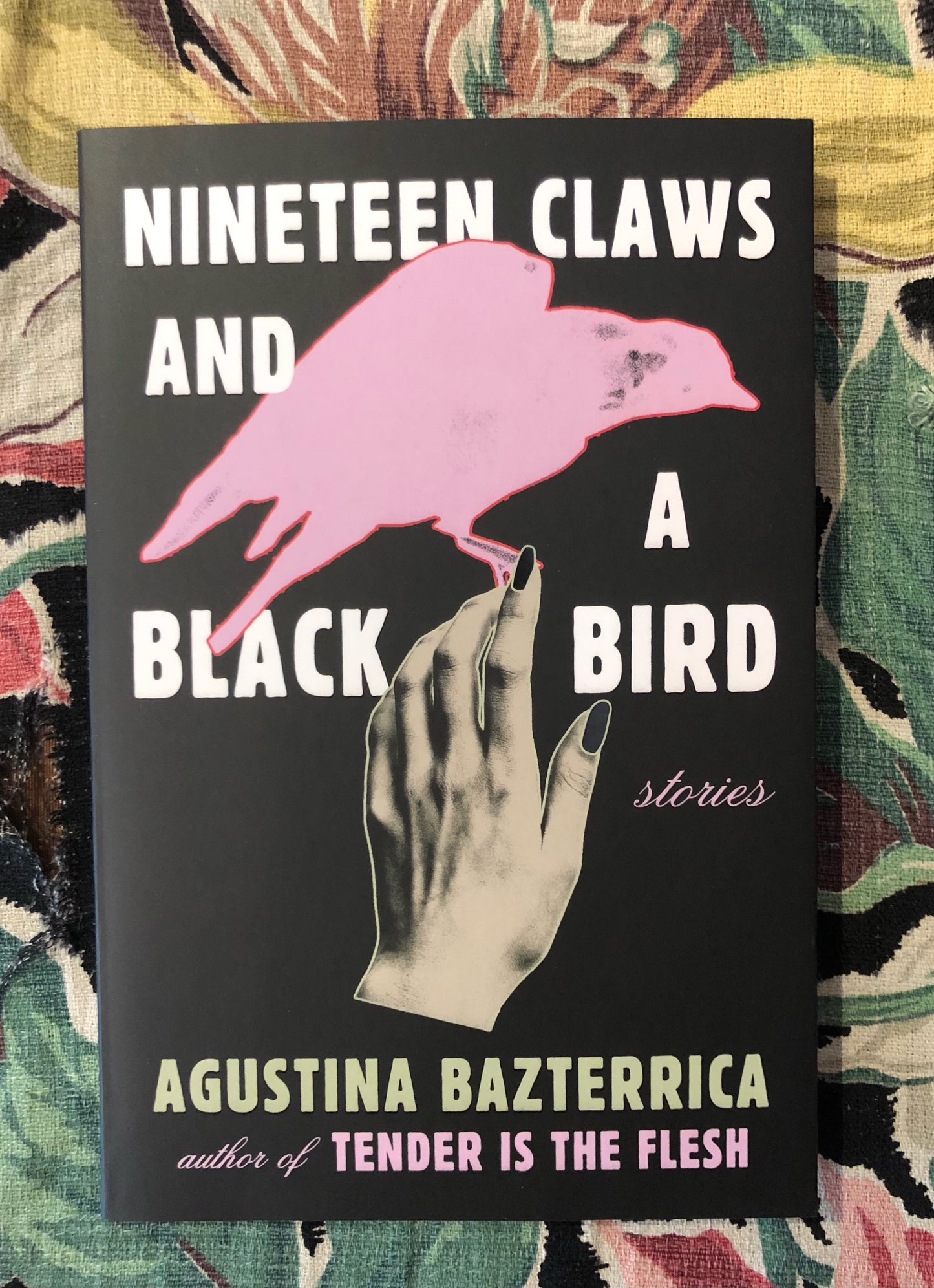 Nineteen Claws and a Black Bird