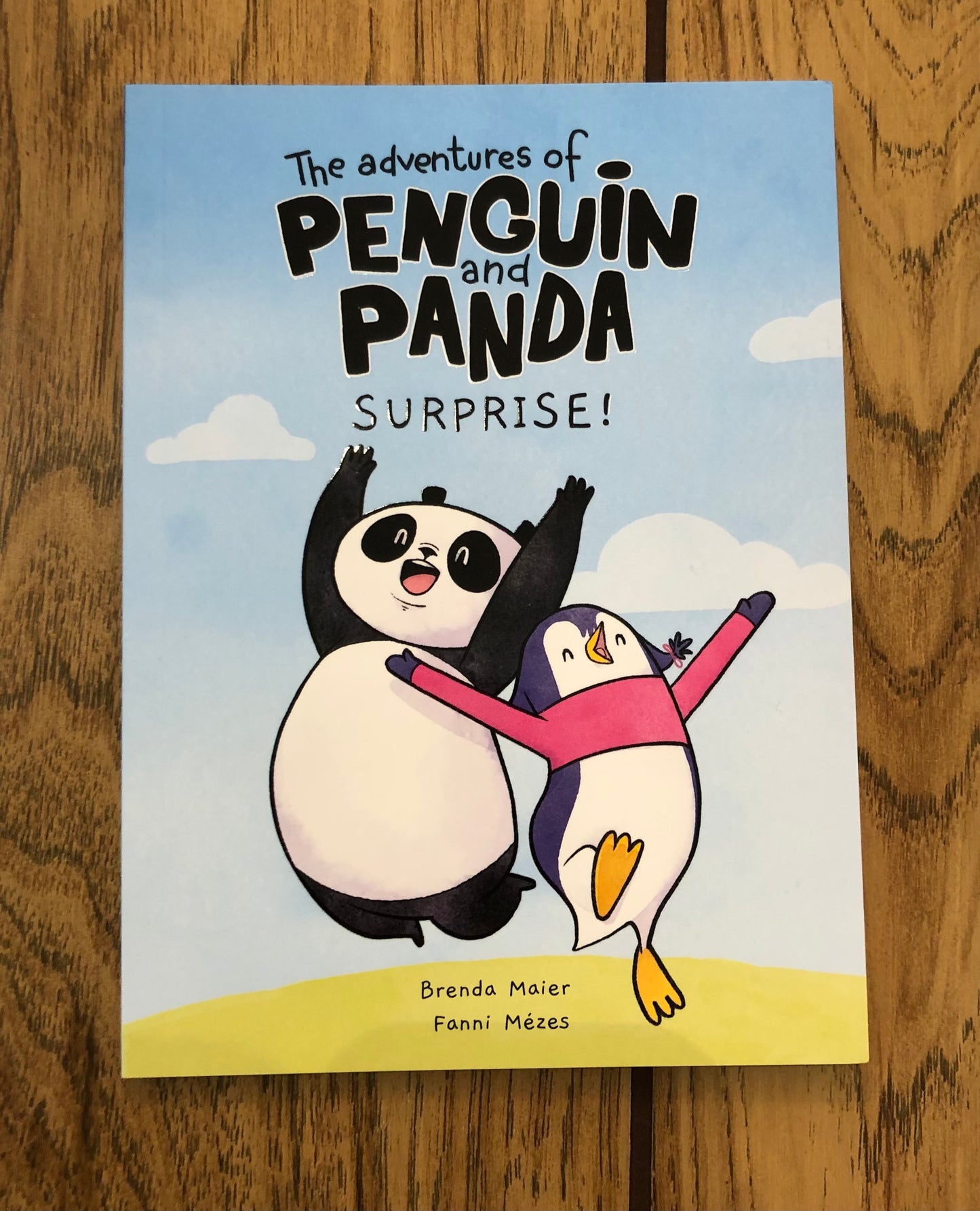 The Adventures of Penguin and Panda: Surprise!