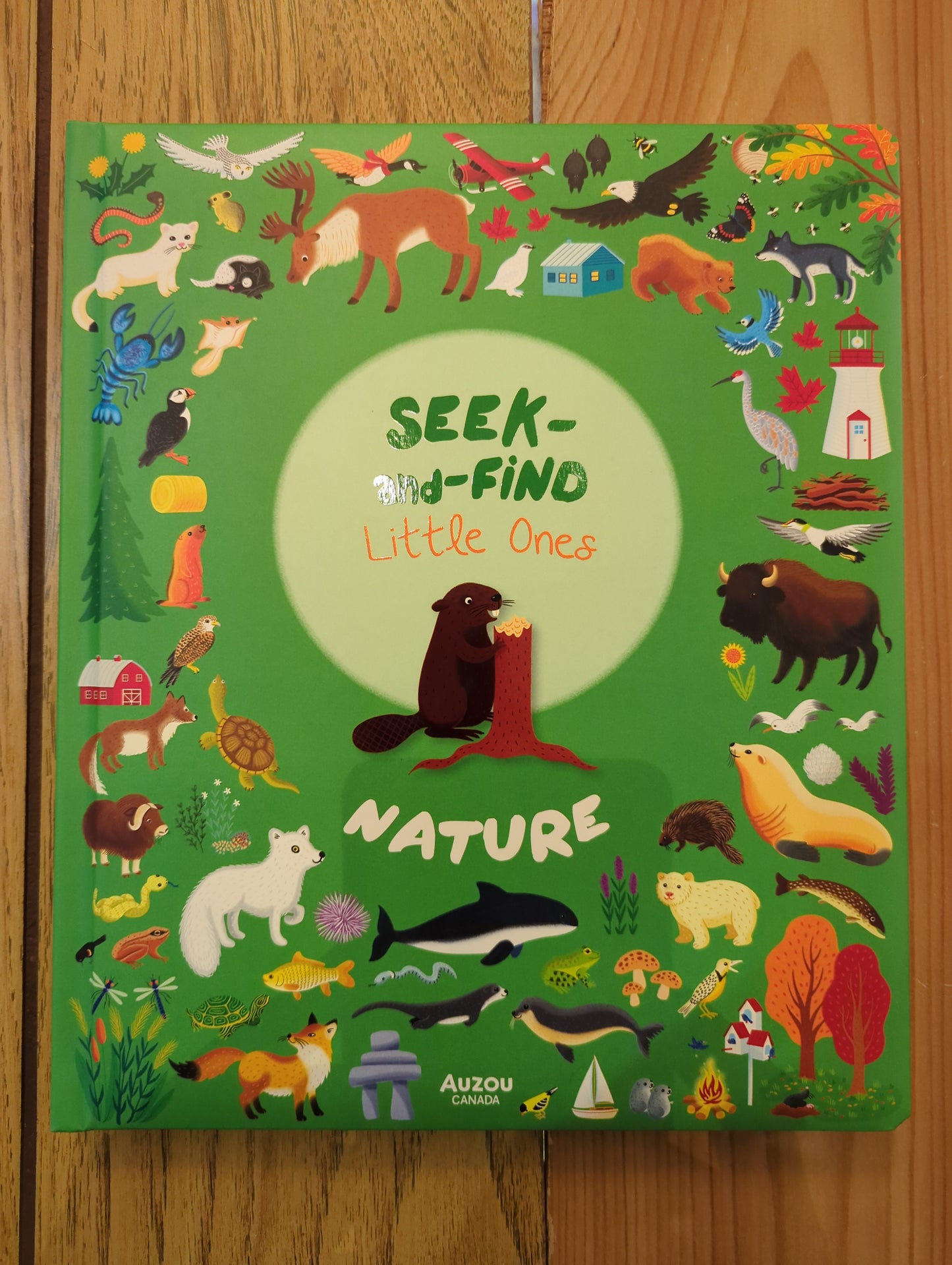 Seek-and-Find Little Ones: Nature