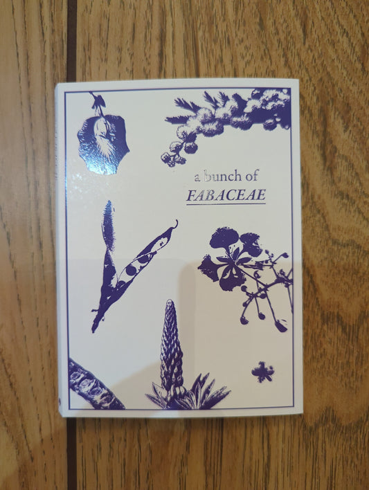 a bunch of Fabaceae