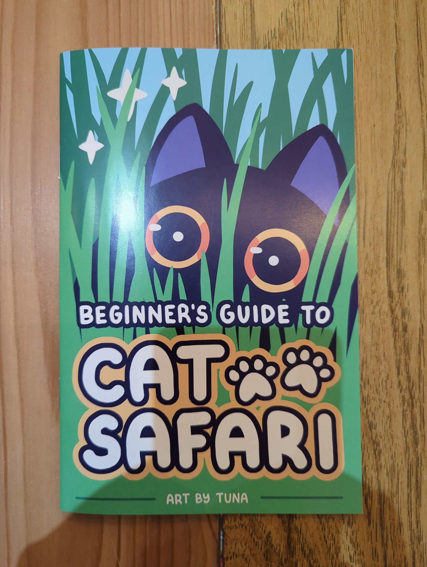 Beginner's Guide to Cat Safari