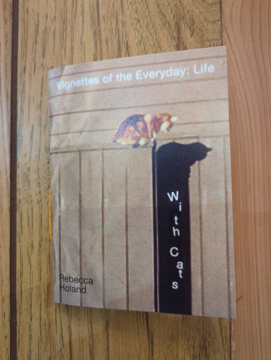 Vignettes of the Everyday: Life With Cats