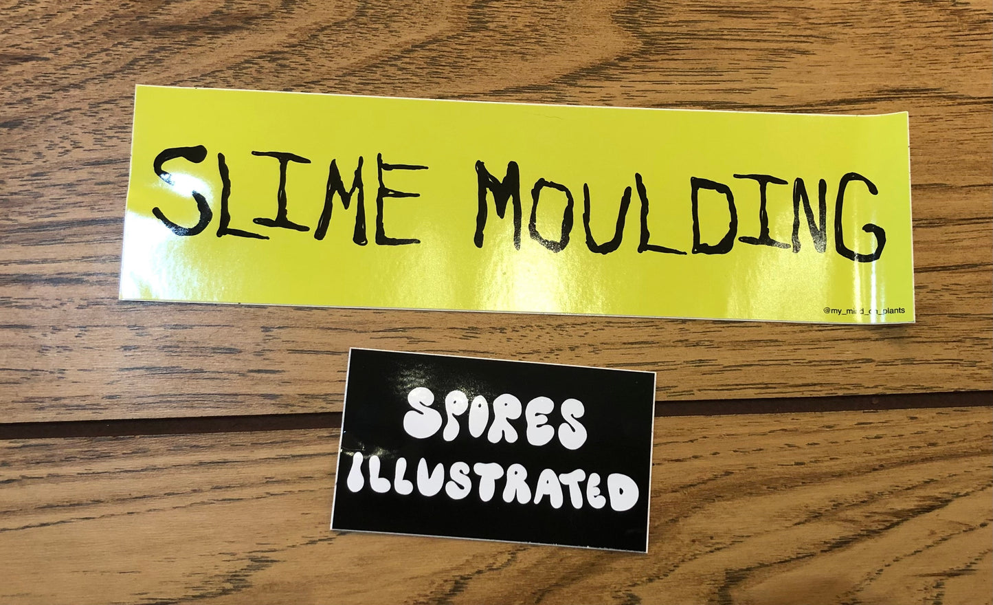 Spores Illustrated no.4: Nosebleeds & Blow Flies