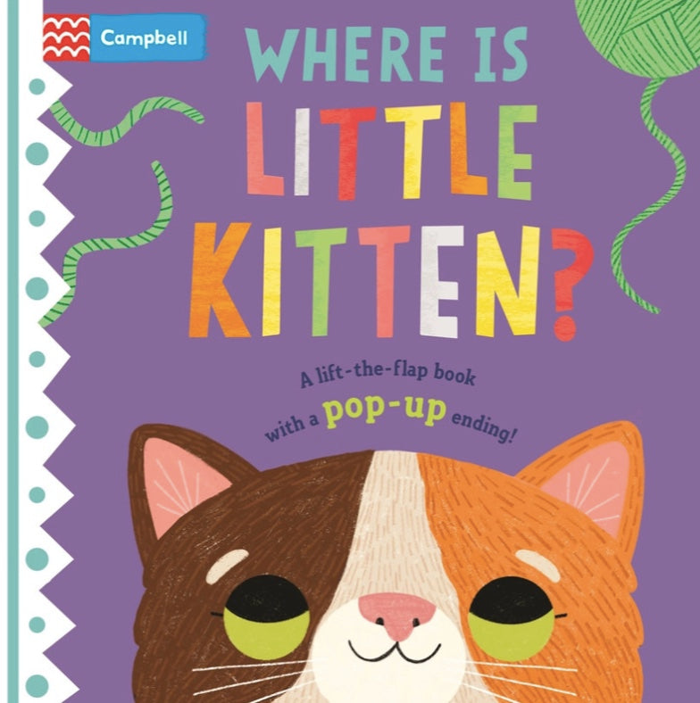 Where is Little Kitten?