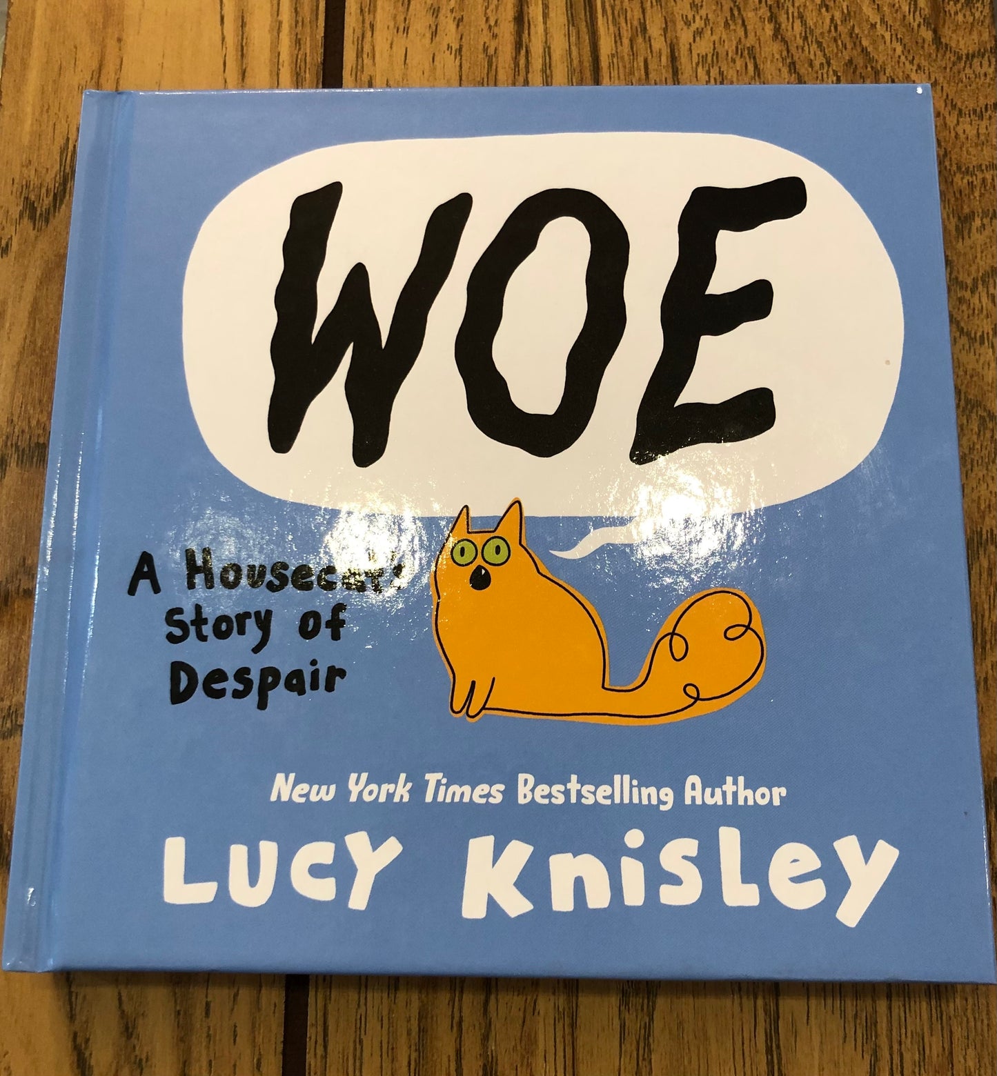 Woe: A Housecat's Story of Despair
