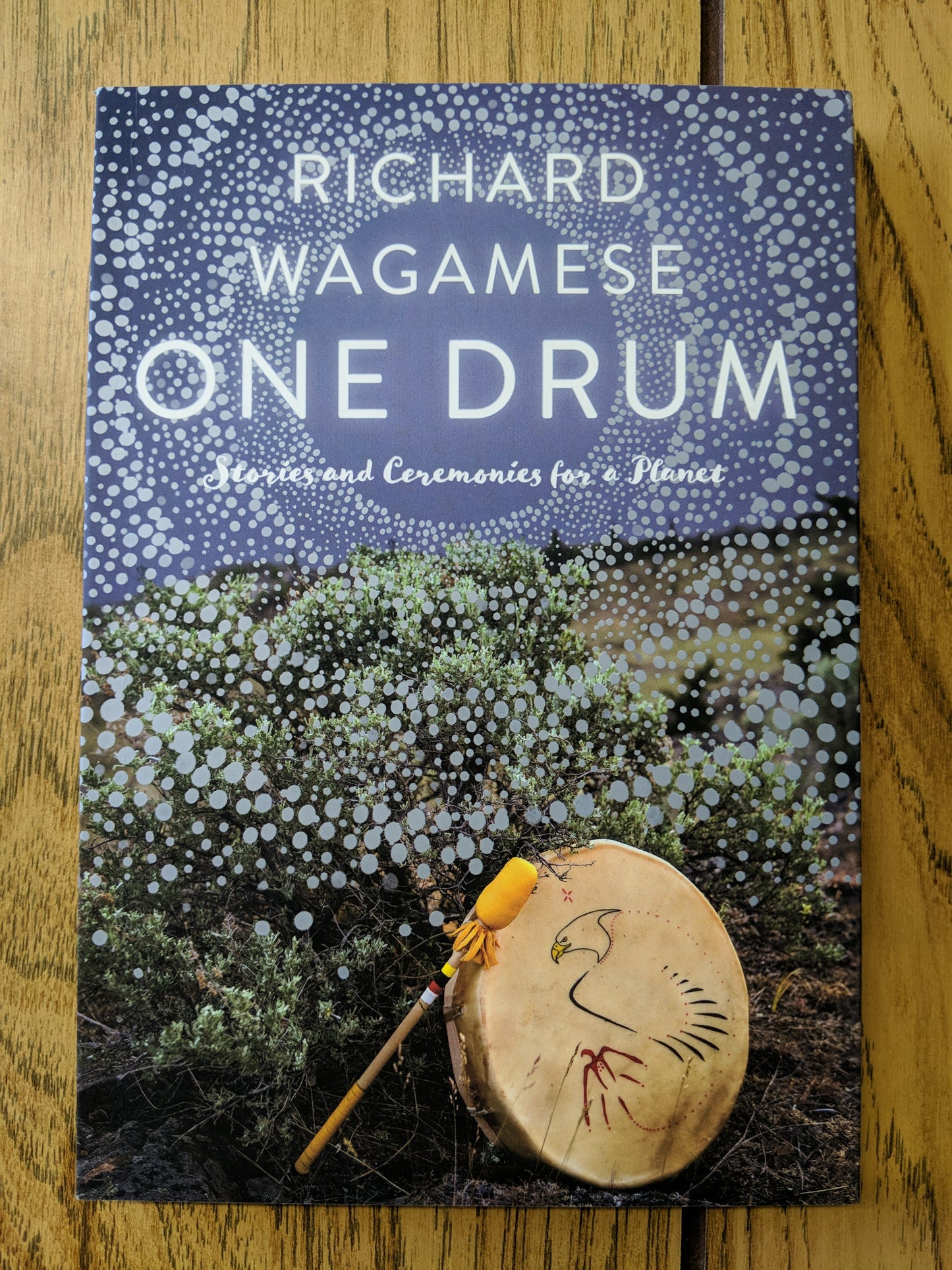 One Drum: Stories and Ceremonies for a Planet