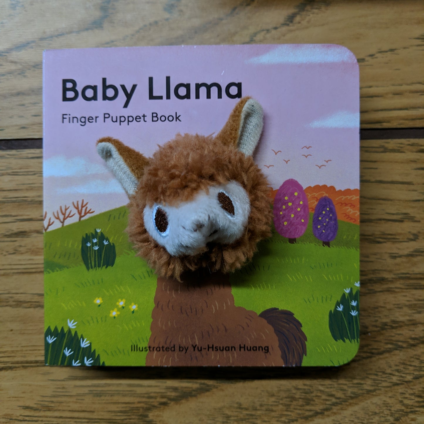 Baby Llama