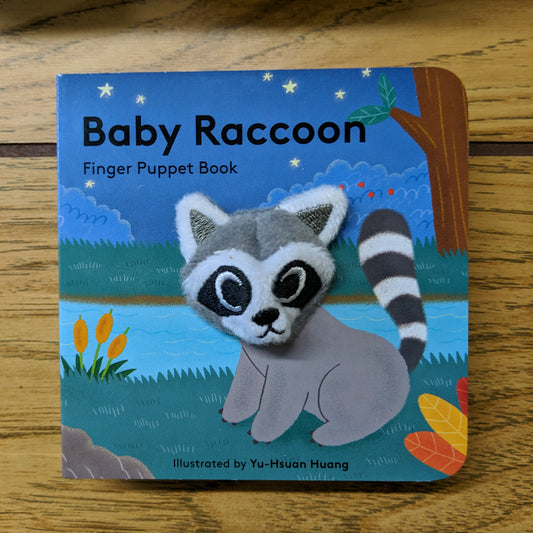 Baby Raccoon