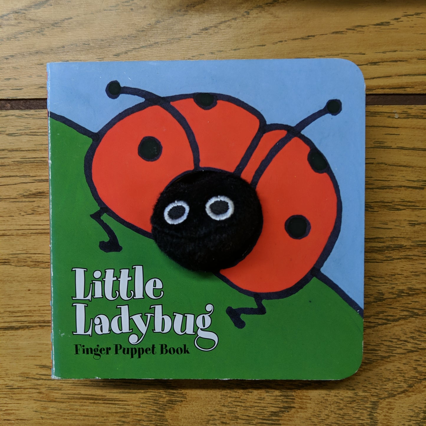 Little Ladybug