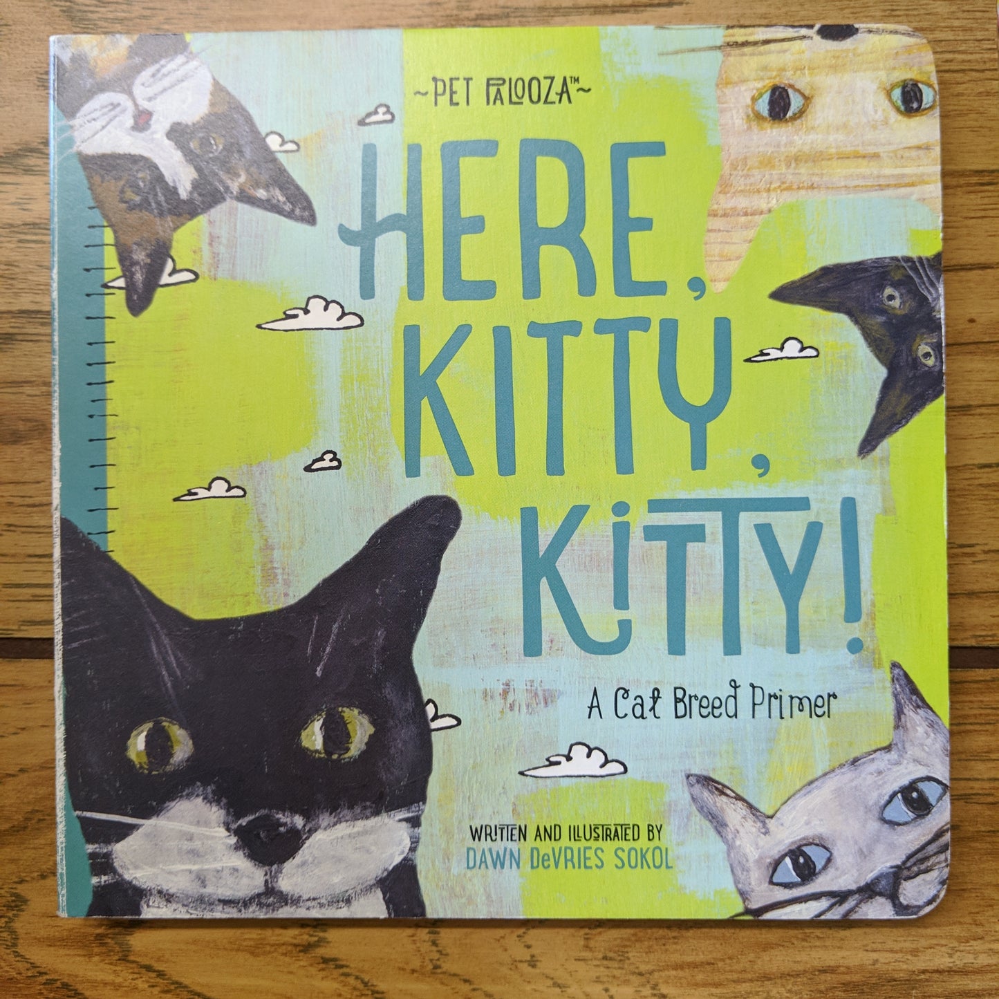 Here, Kitty, Kitty! A Cat Breed Primer