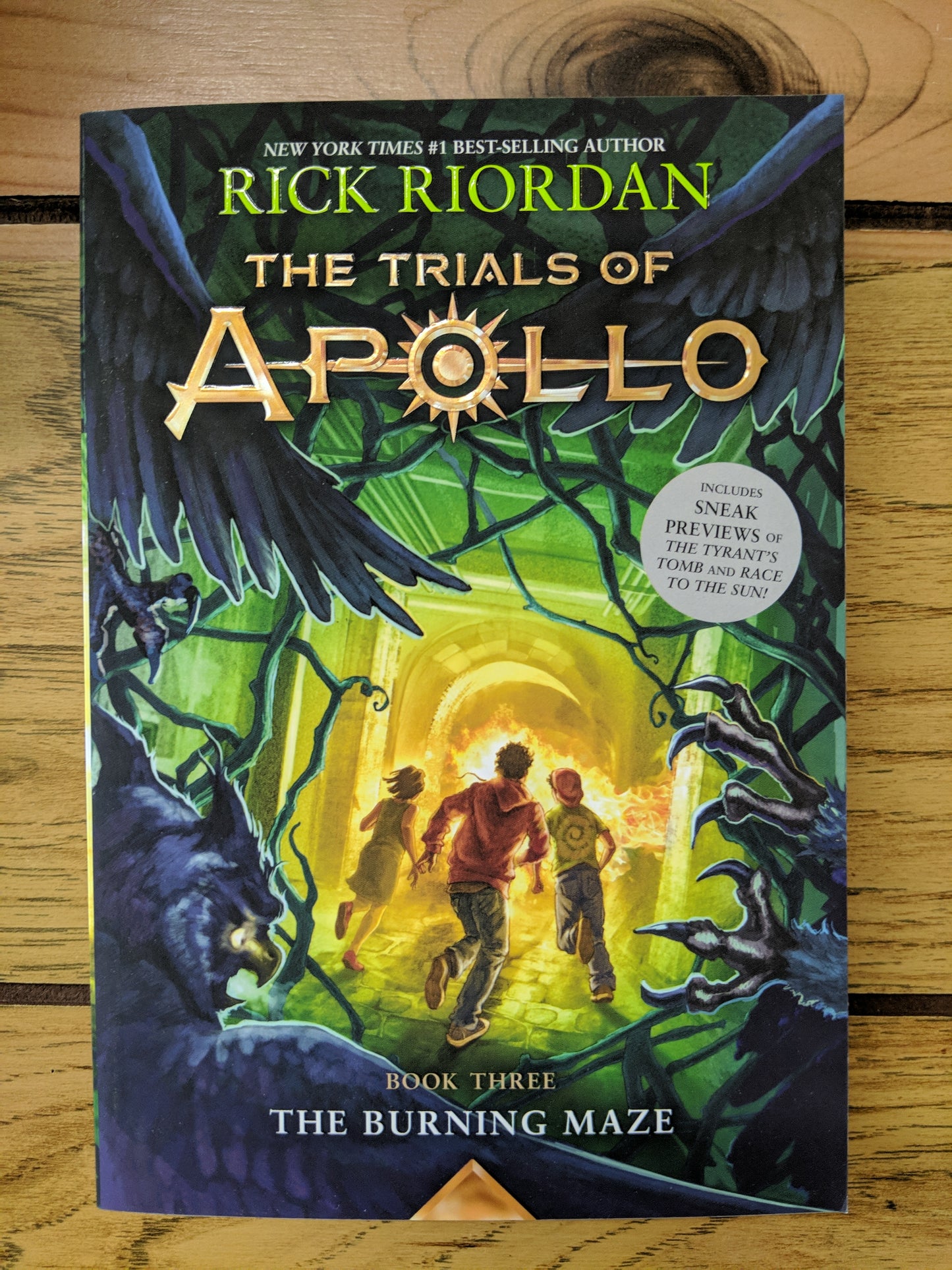 The Burning Maze (The Trials of Apollo #3)