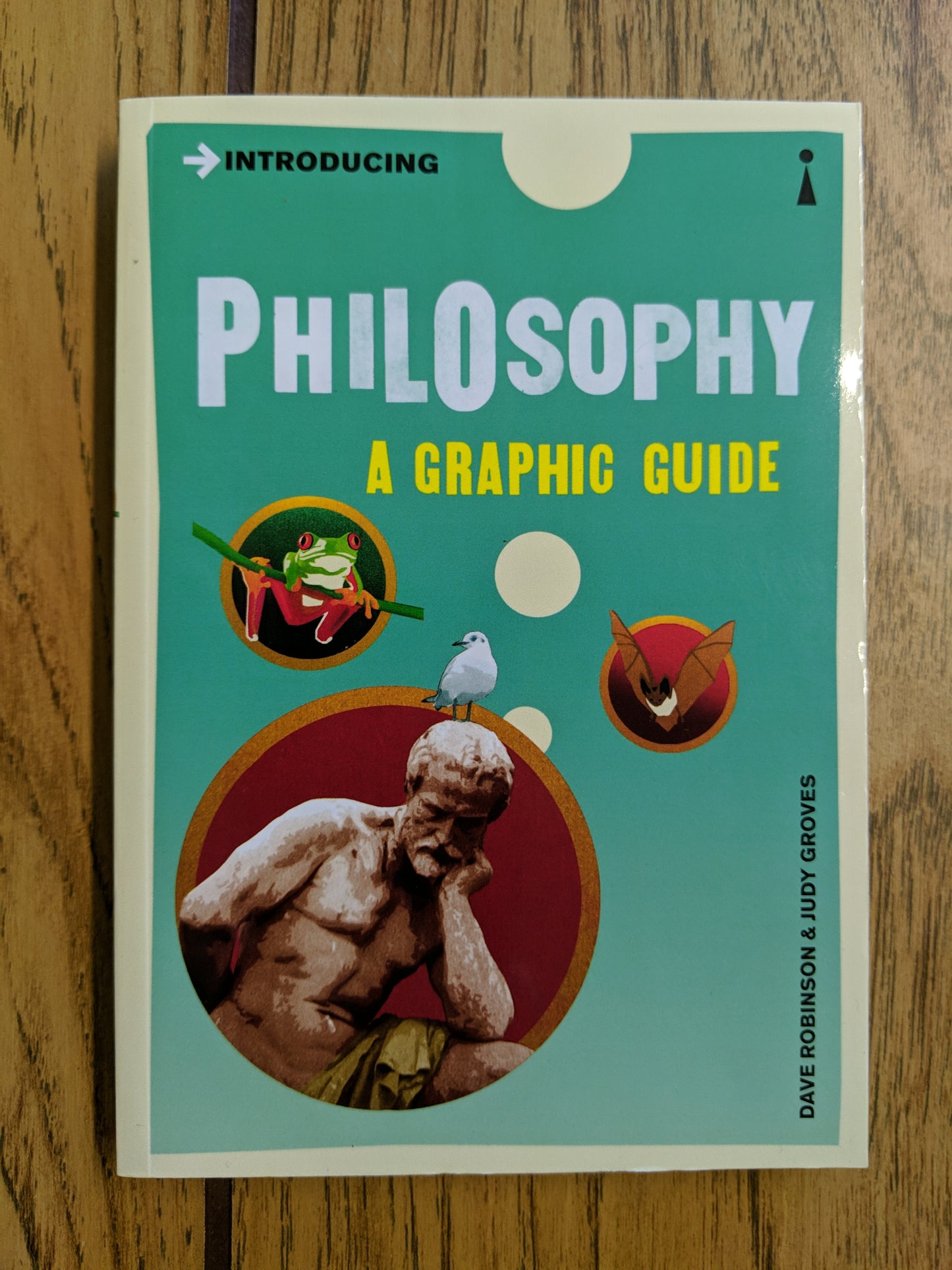 Introducing Philosophy: A Graphic Guide