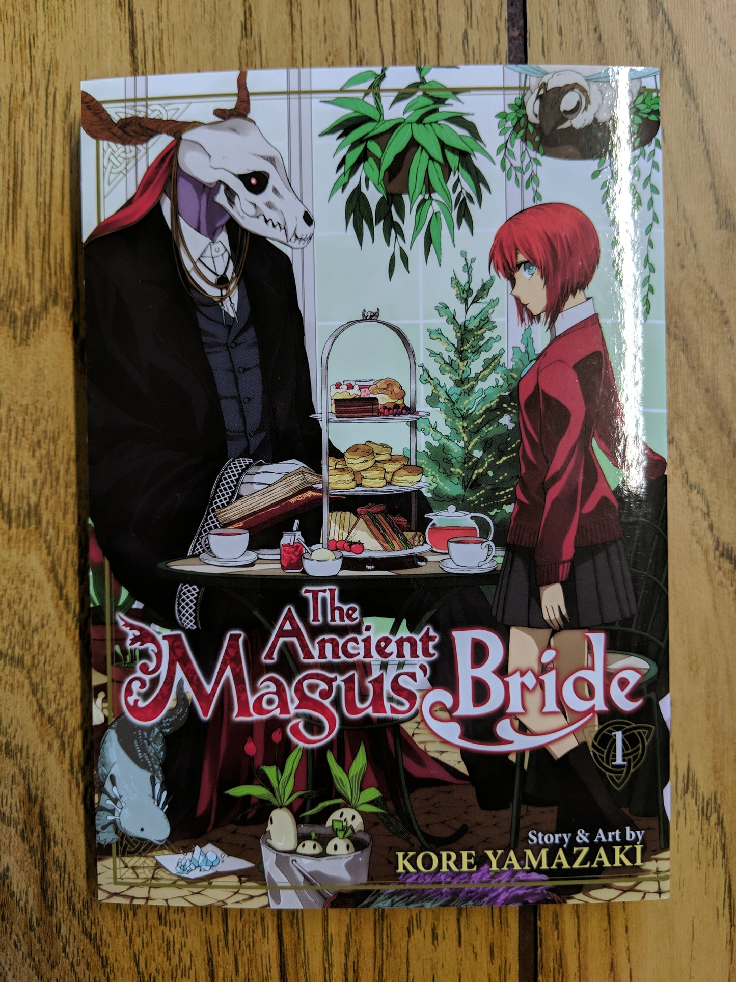 The Ancient Magus' Bride Vol 1