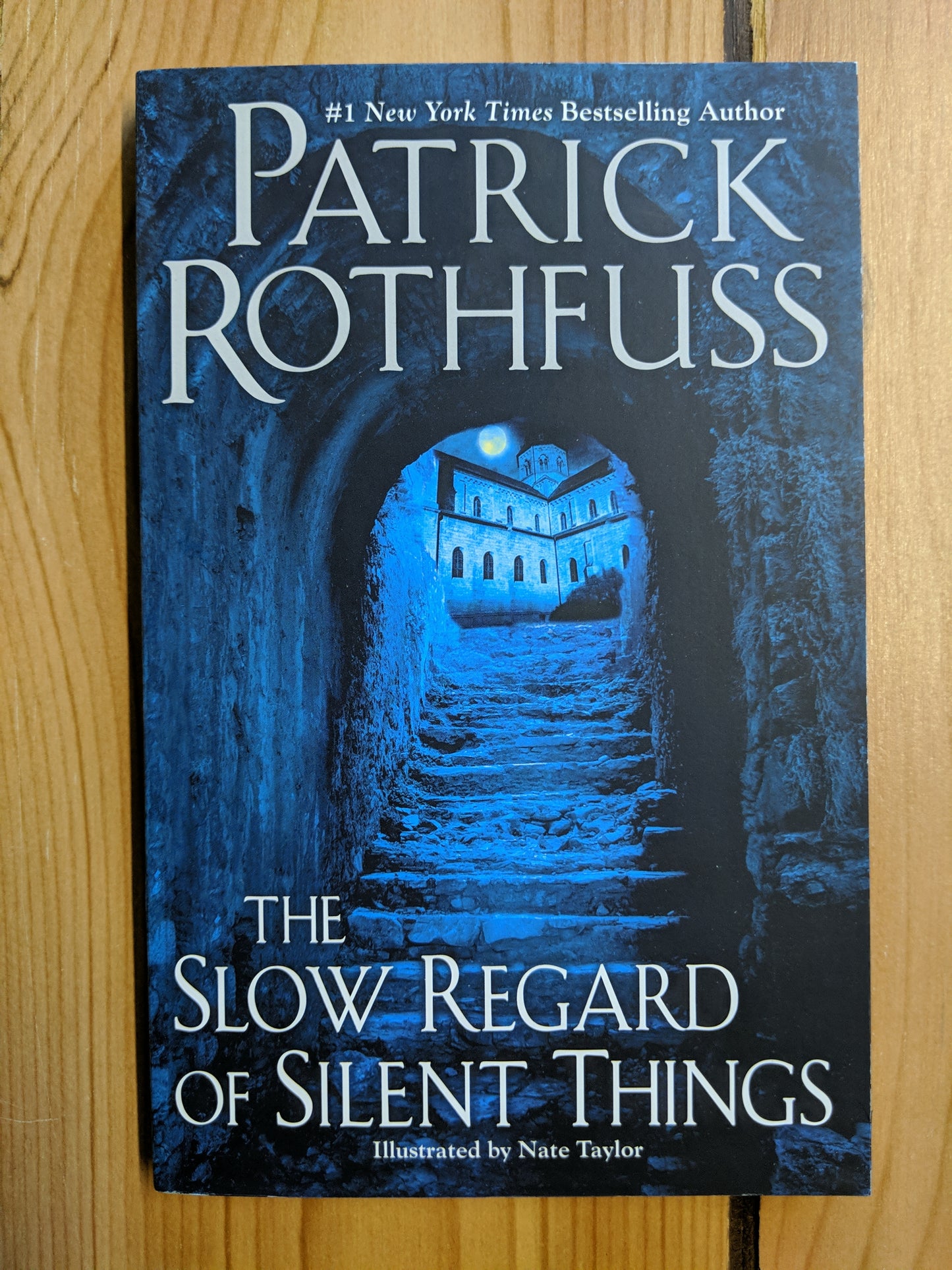 The Slow Regard of Silent Things