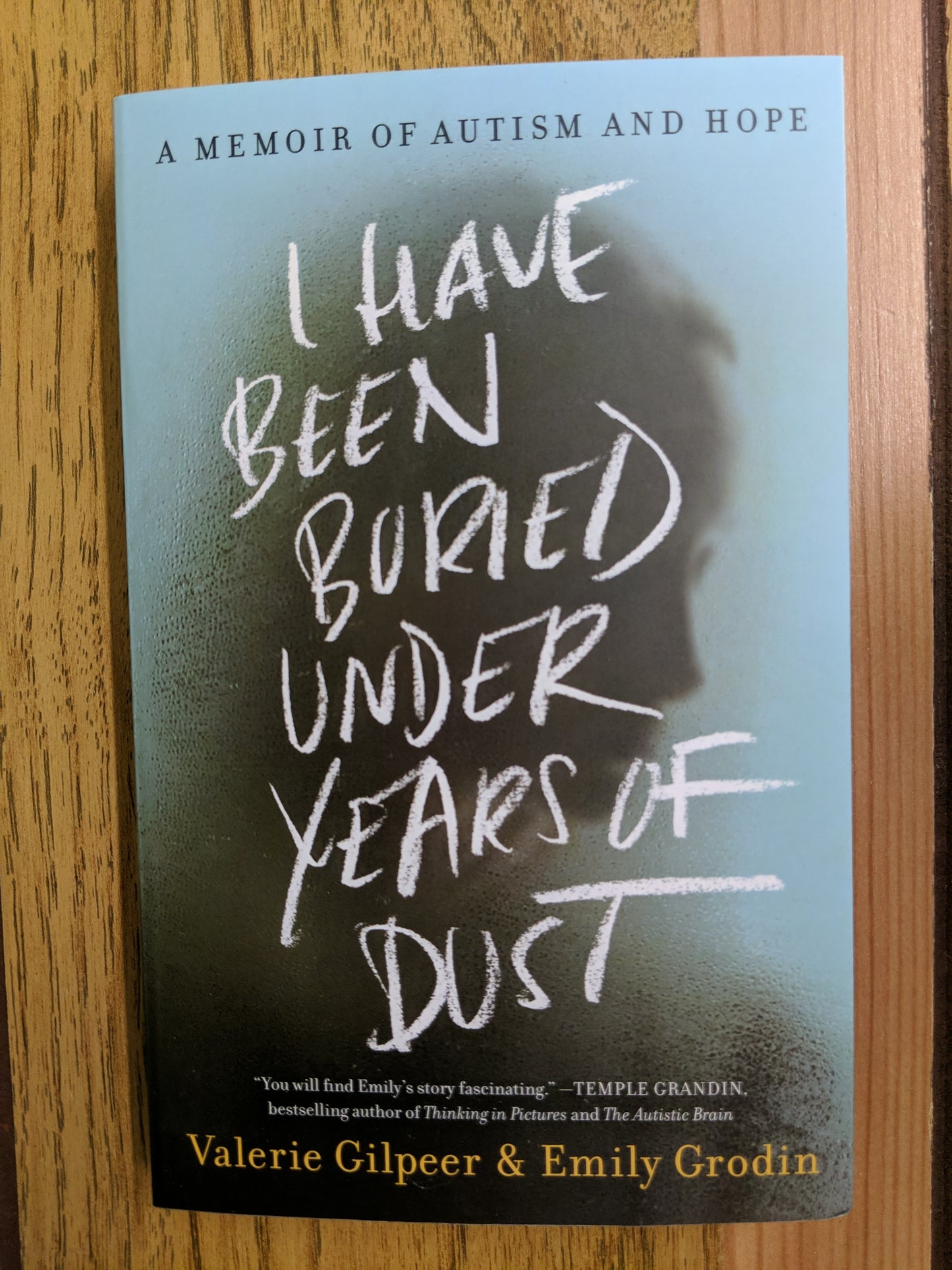 I Have Been Buried Under Years of Dust