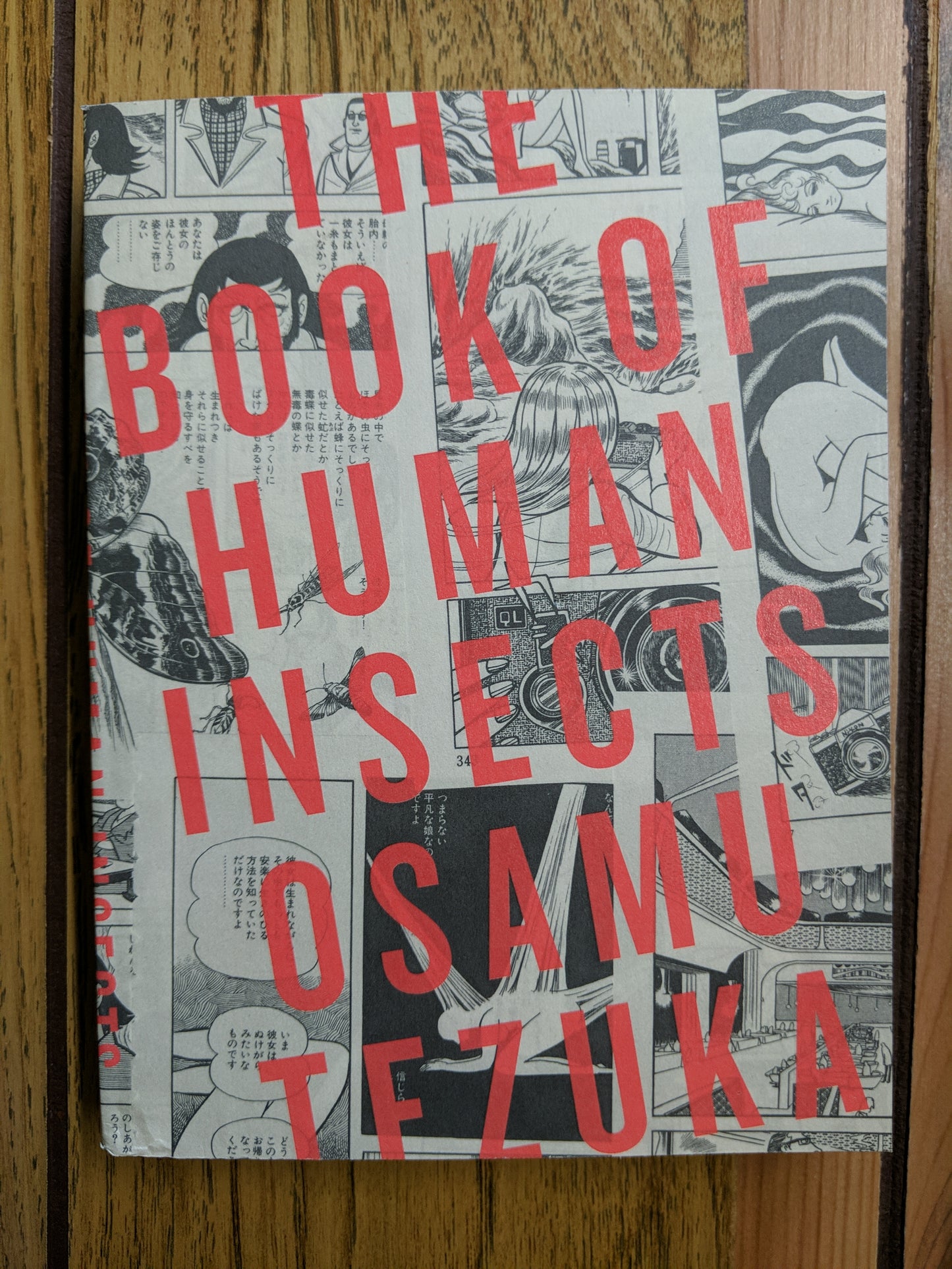 The Book of Human Insects