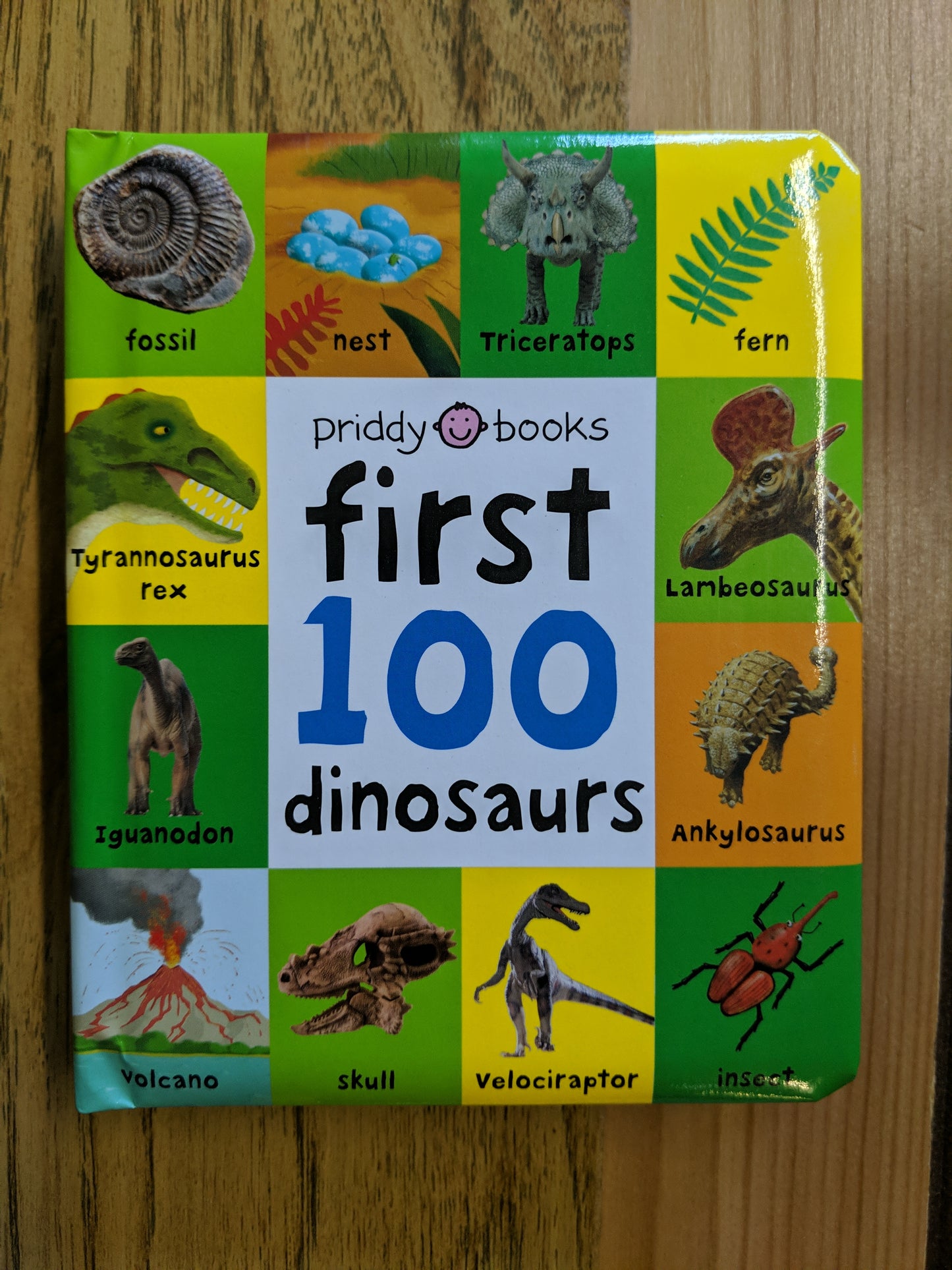 First 100 Dinosaurs