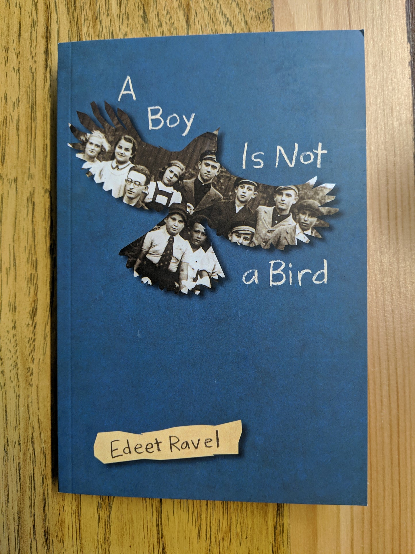 A Boy is Not a Bird