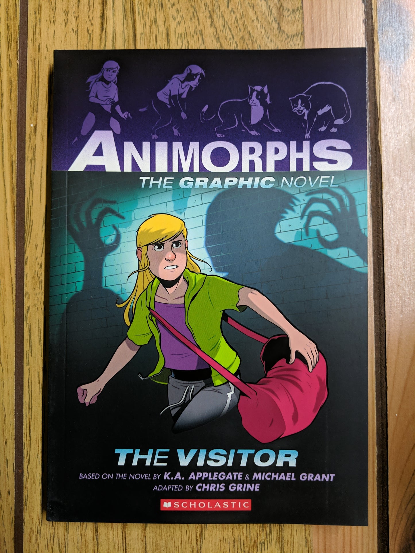 Animorphs the Graphic Novel: The Visitor (Vol 2)