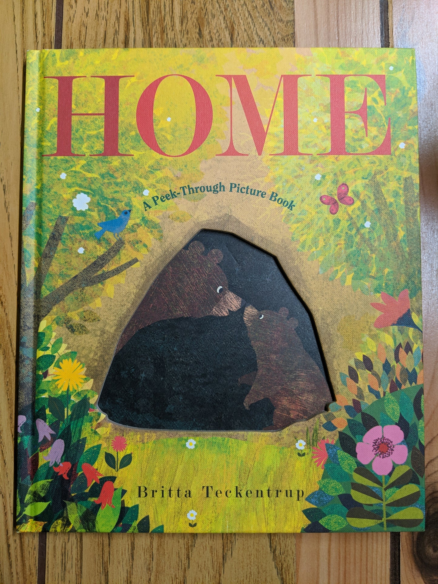 Home: A Peek-Through Picture Book