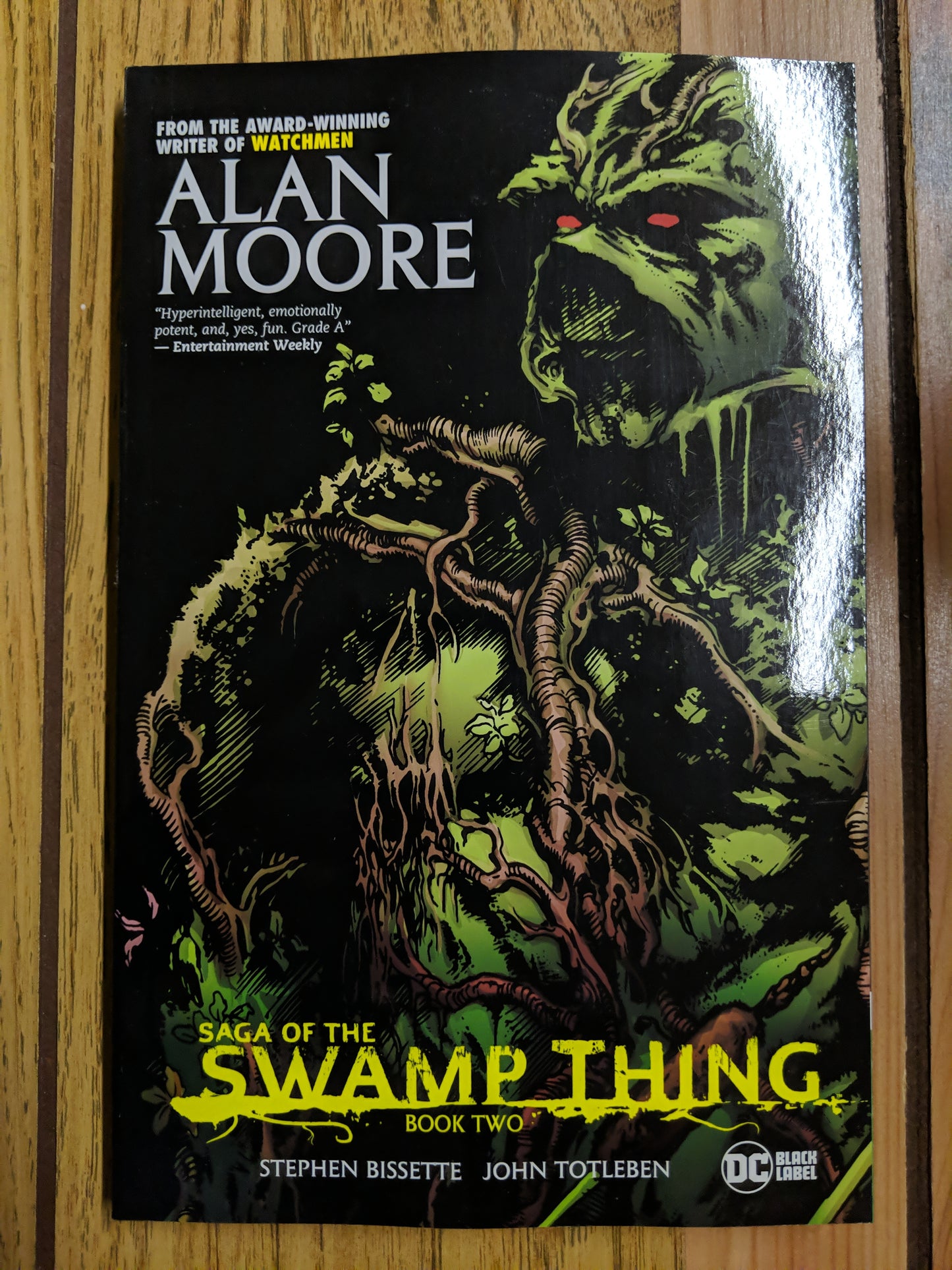 Saga of the Swamp Thing Book 2